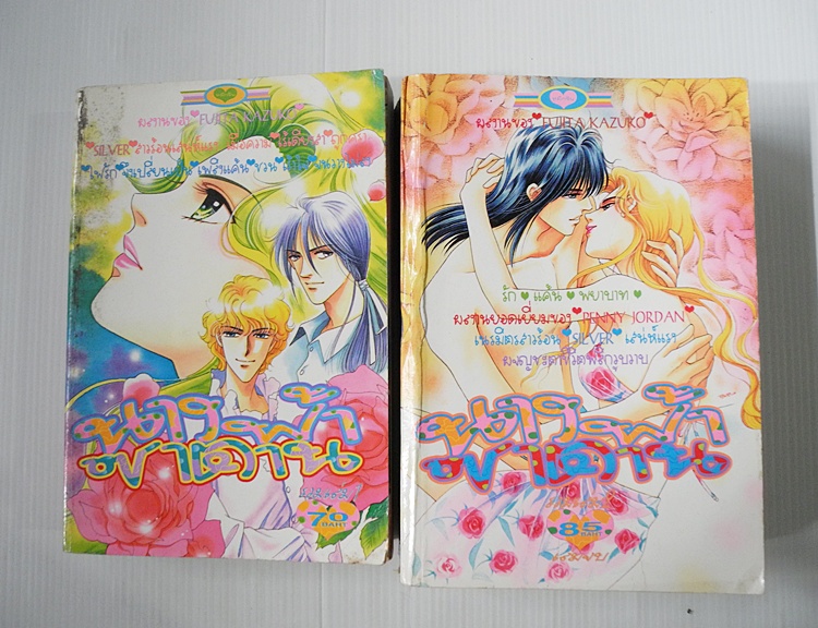 นางฟ้าซาตาน 2 เล่มจบ / FUJITA KAZUKO