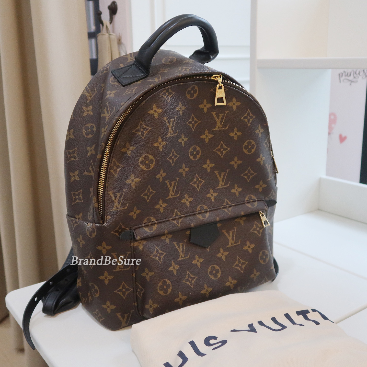Louis Vuitton Monogram Palm Spring MM