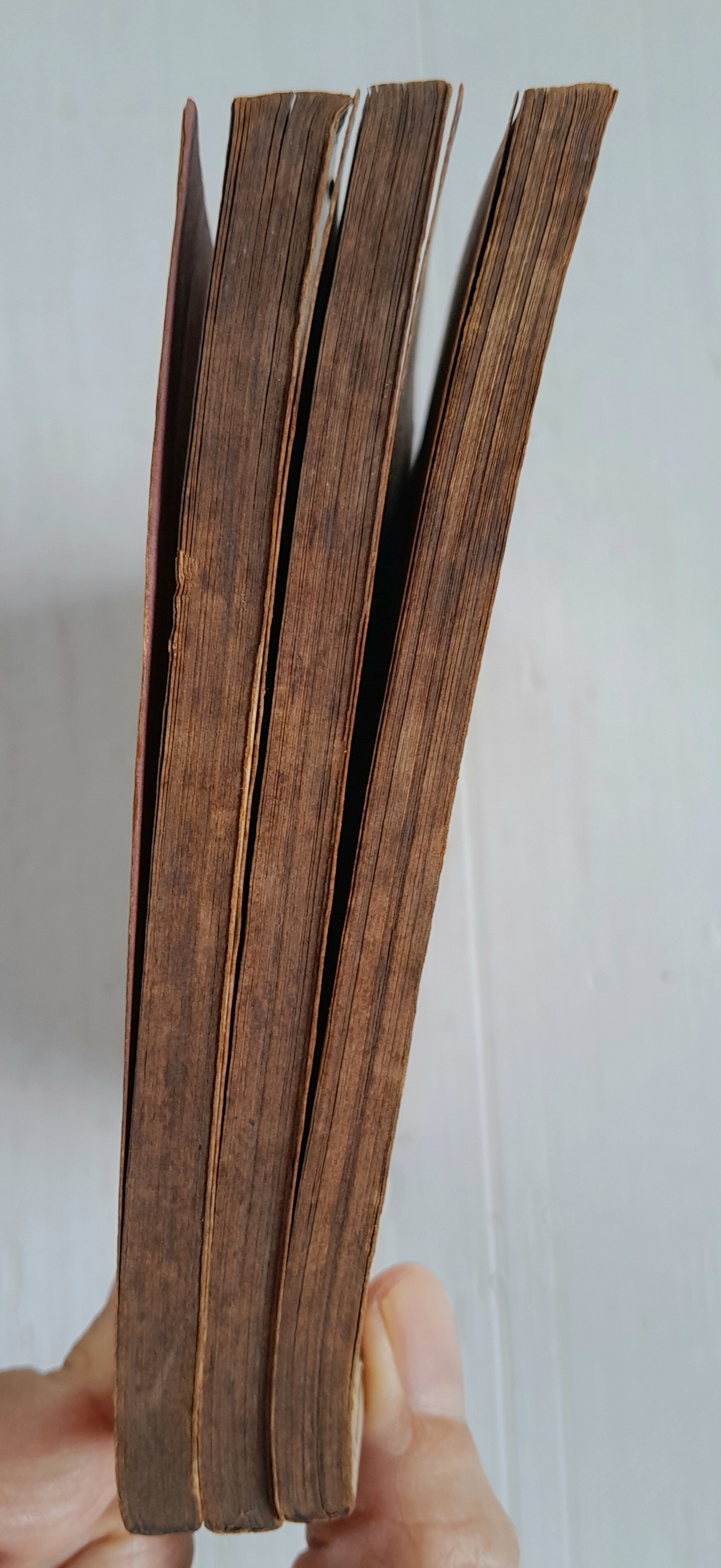 สวนสัตว์อลวน 3 เล่มจบ / ทาคานาชิ ชิซูเอะ