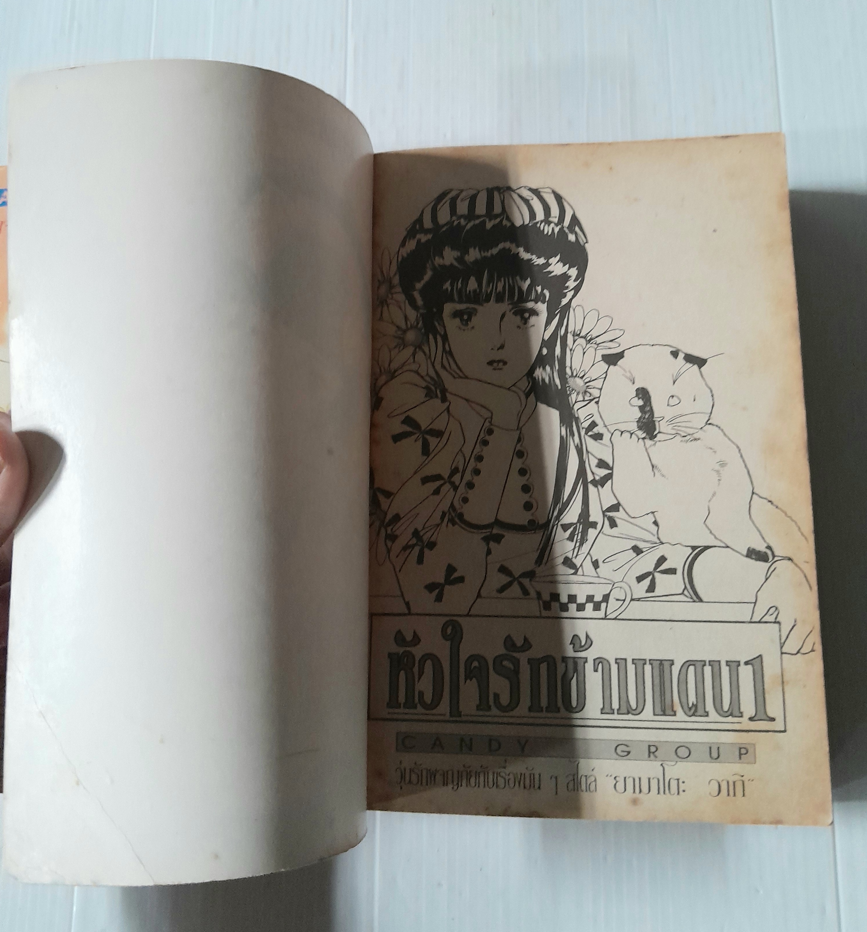 หัวใจรักข้ามแดน 2 เล่มจบ / Yamato Waki