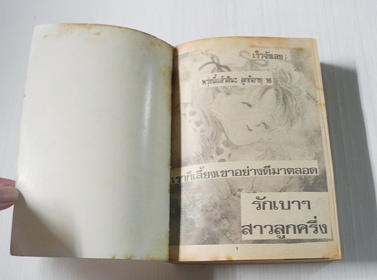 รักเบาๆสาวลูกครึ่ง ฉบับรวมเล่ม (เล่มเดียวจบ) / KAWACHI YUKARI