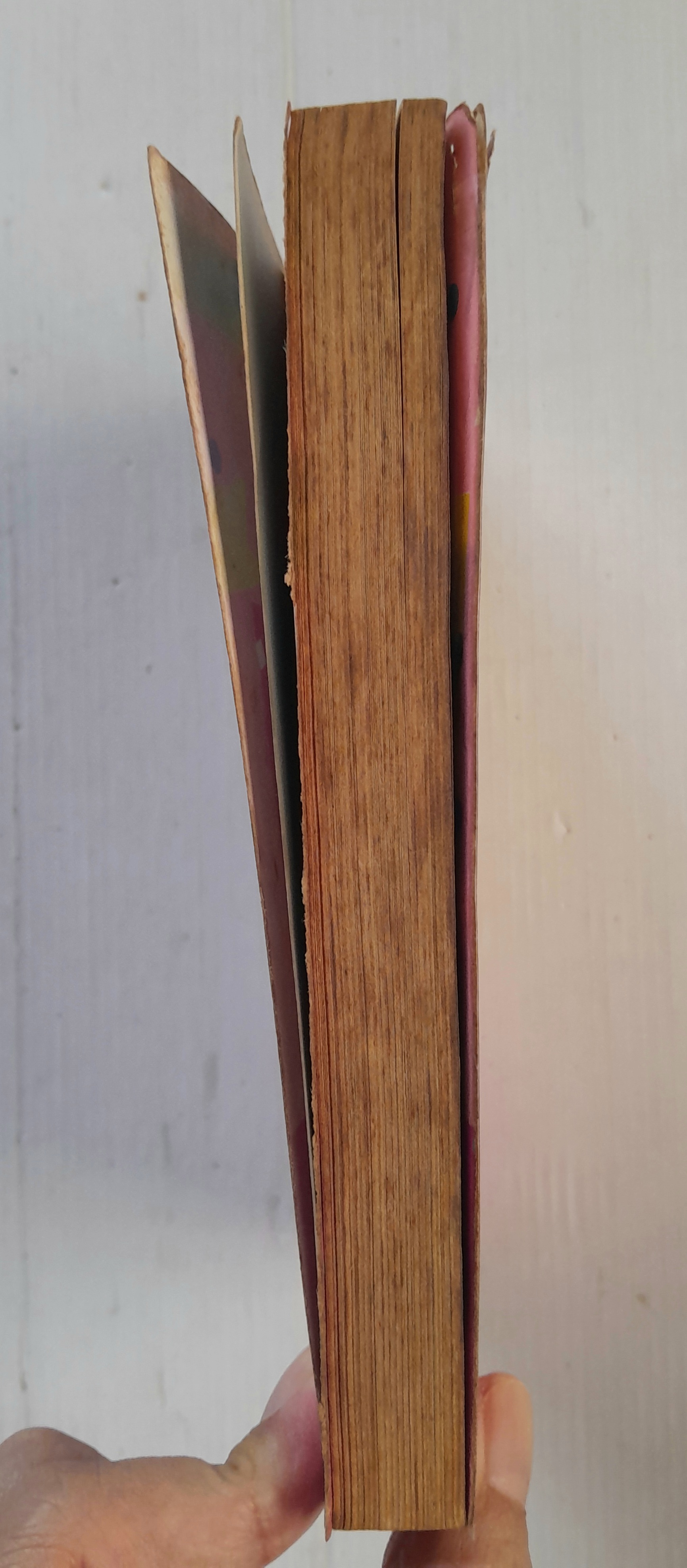 บันทึกลับใน V.D.O (เล่มเดียวจบ) / Matsumoto Yoko