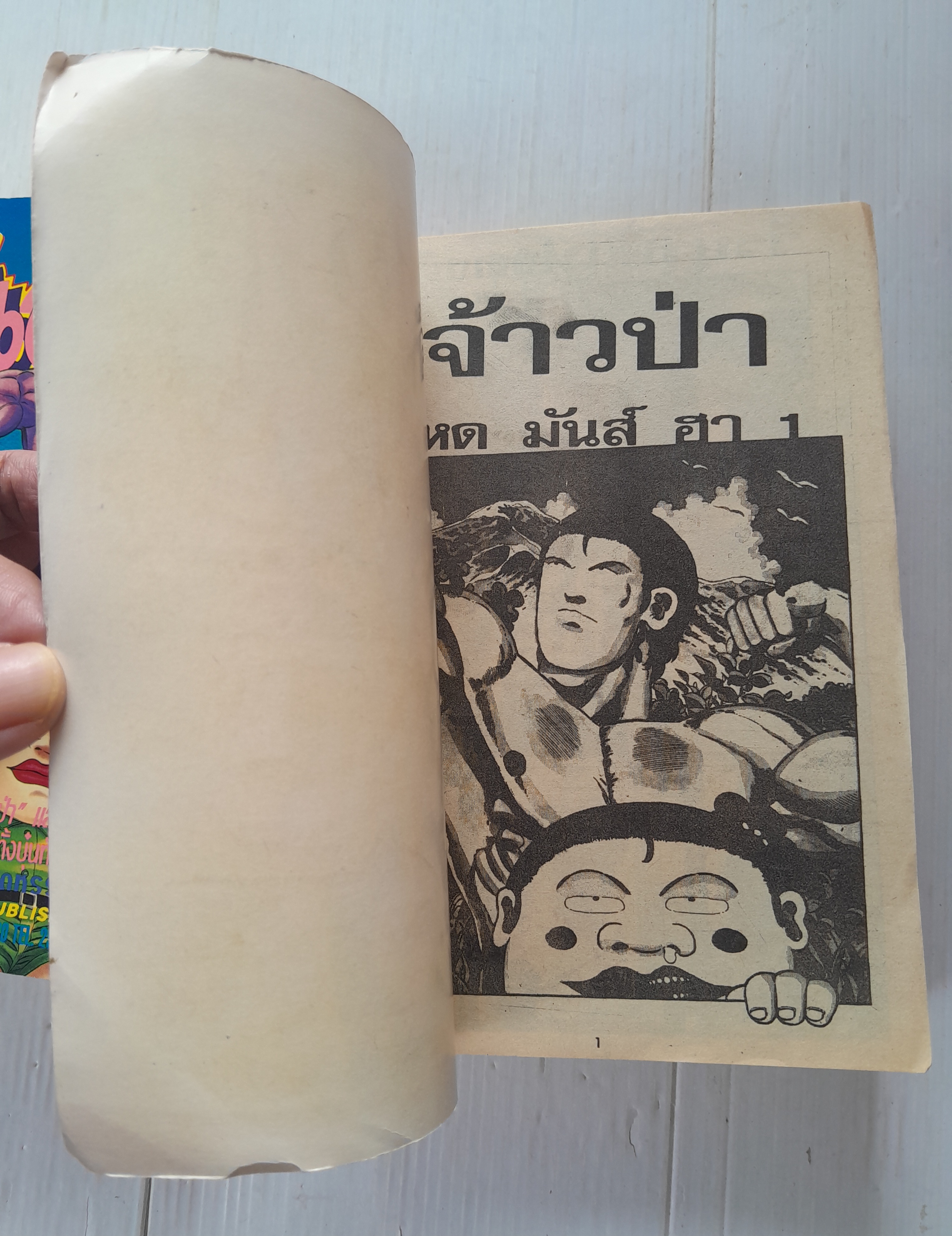 จ้าวป่า โหดมันฮา! ภาคพิเศษ (2 เล่มจบ)