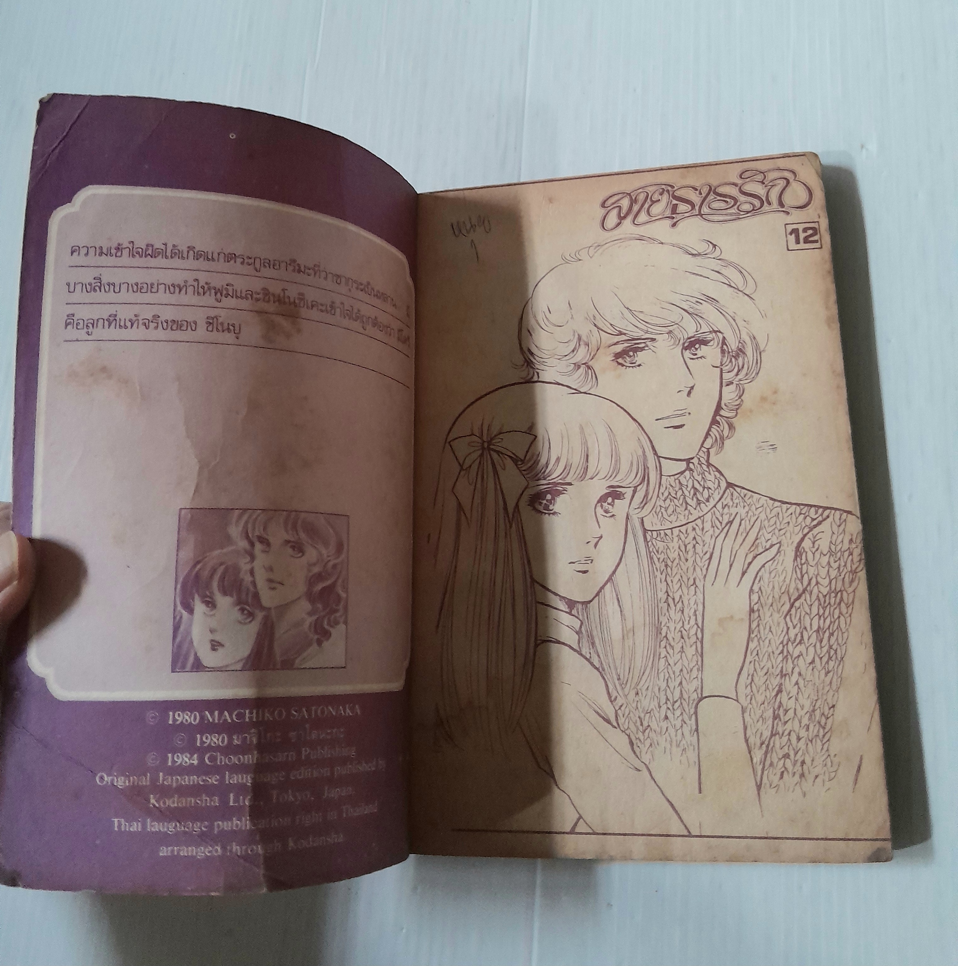 สายธารรัก เล่ม 12 / มาจิโกะ ซาโตนะกะ