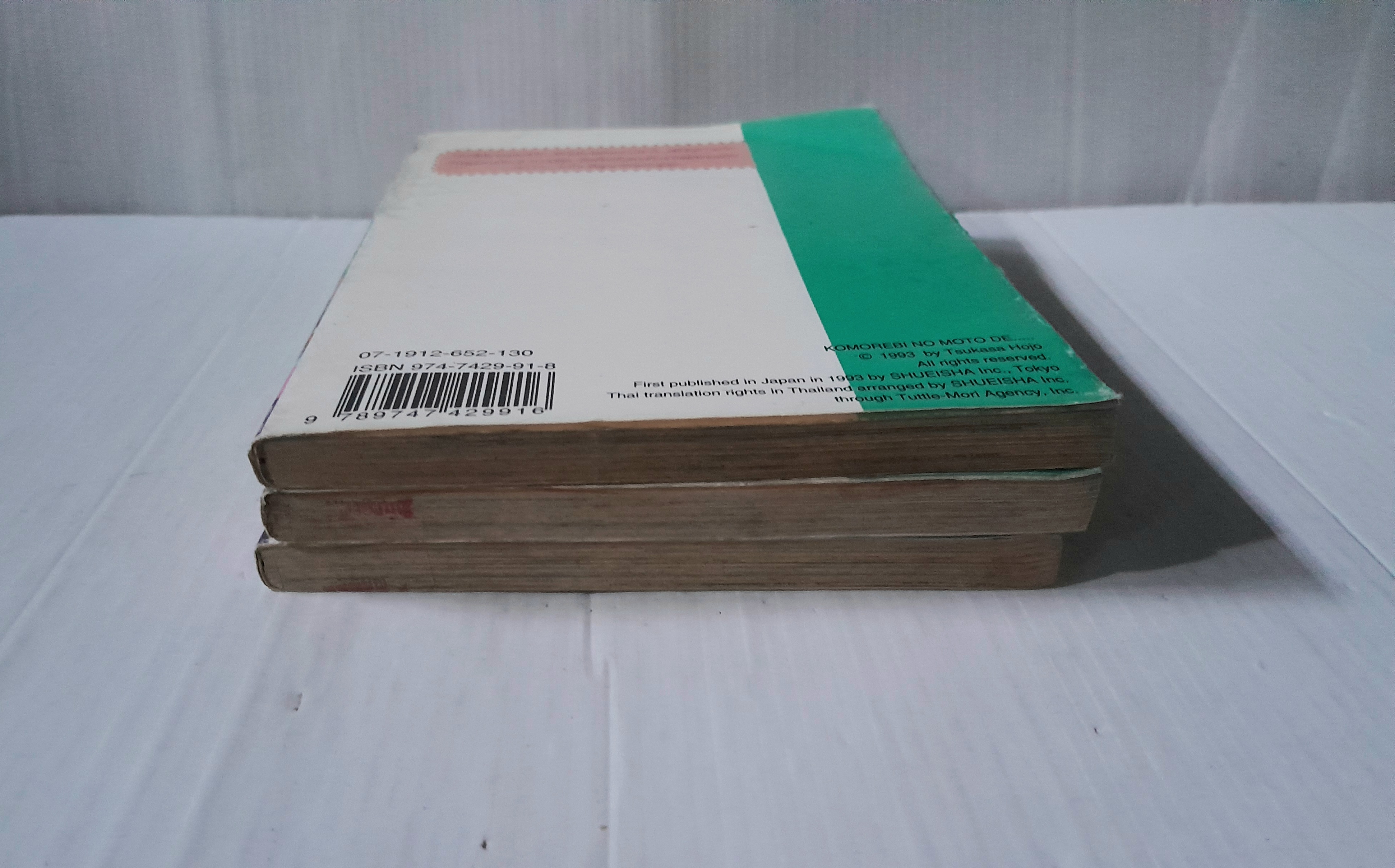 ใต้ร่มเงาแห่งรัก 3 เล่มจบ / Tsukasa Hojo