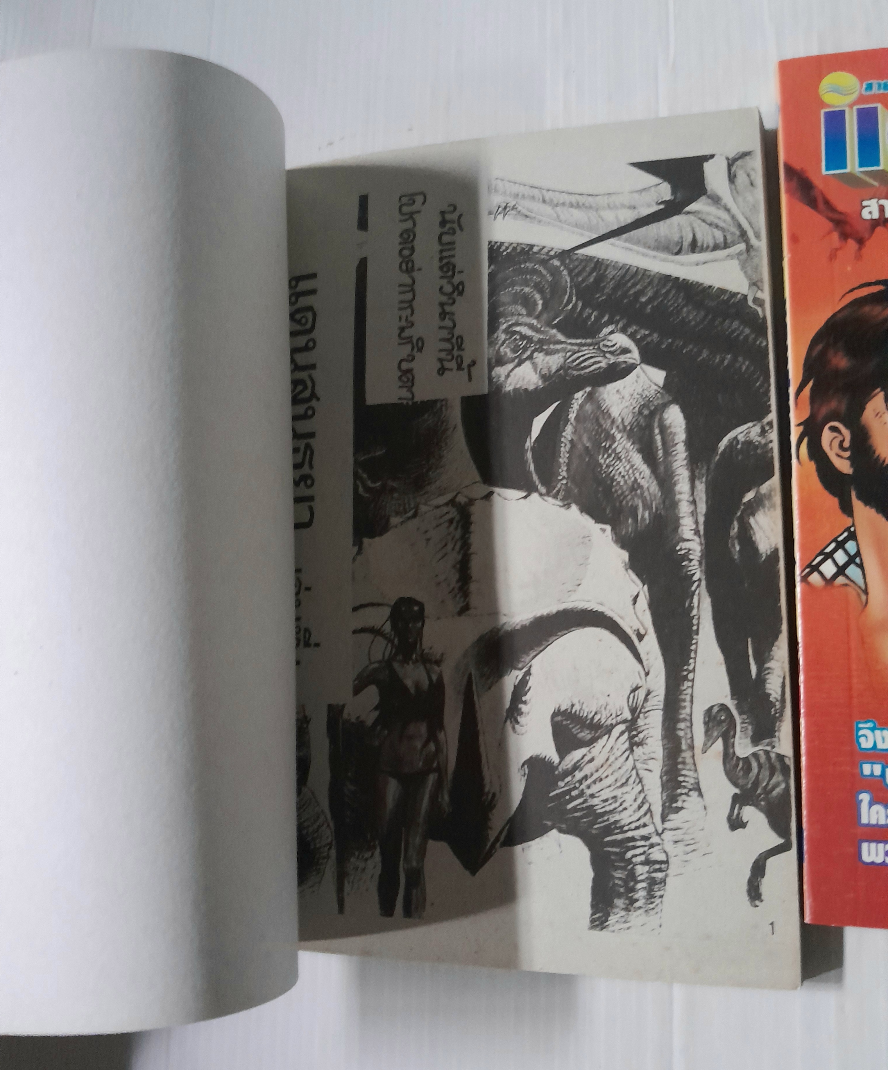 แดนสนธยา 3 เล่มจบ