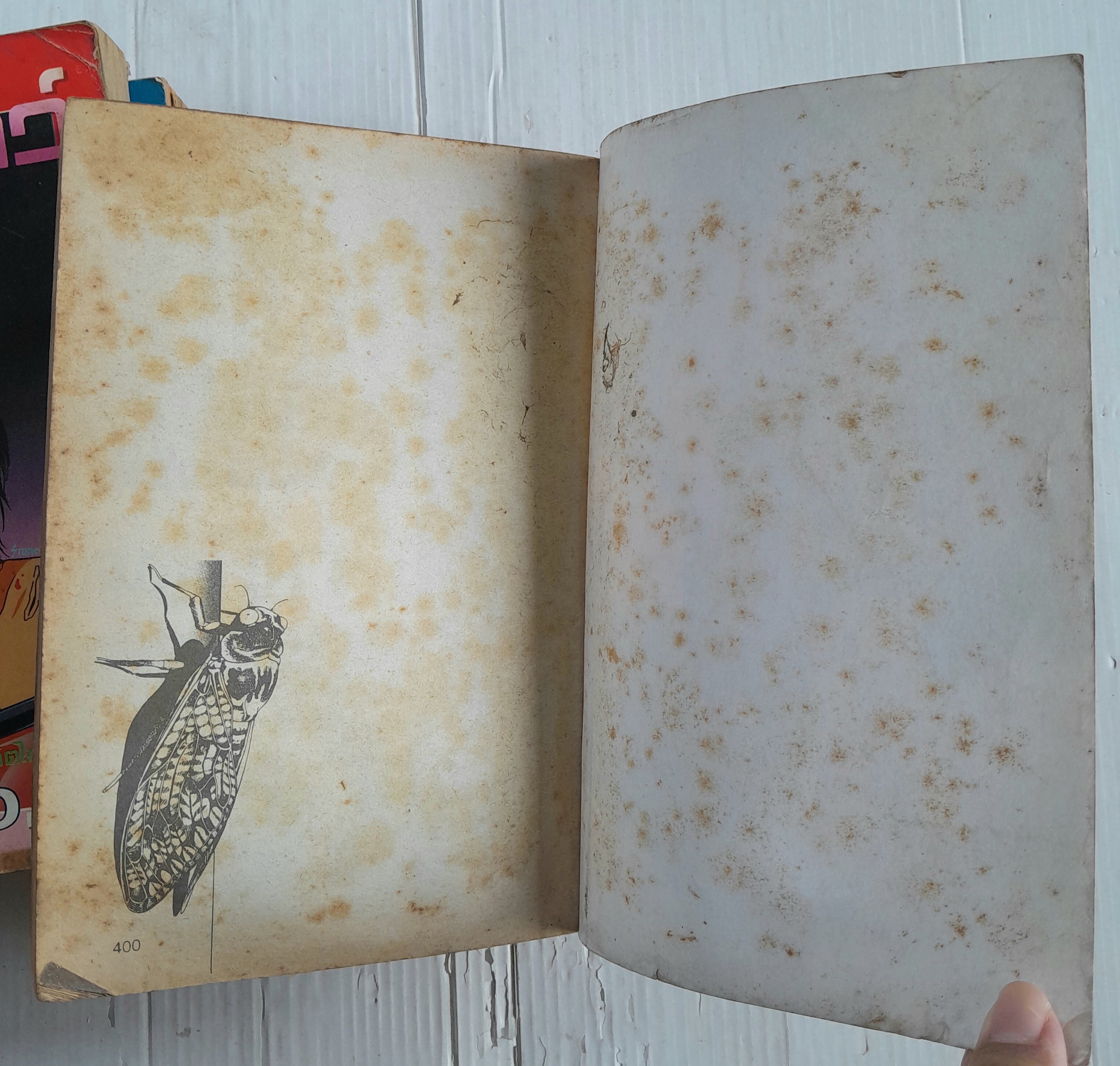 จิตอุบาทว์ เล่ม 1-3