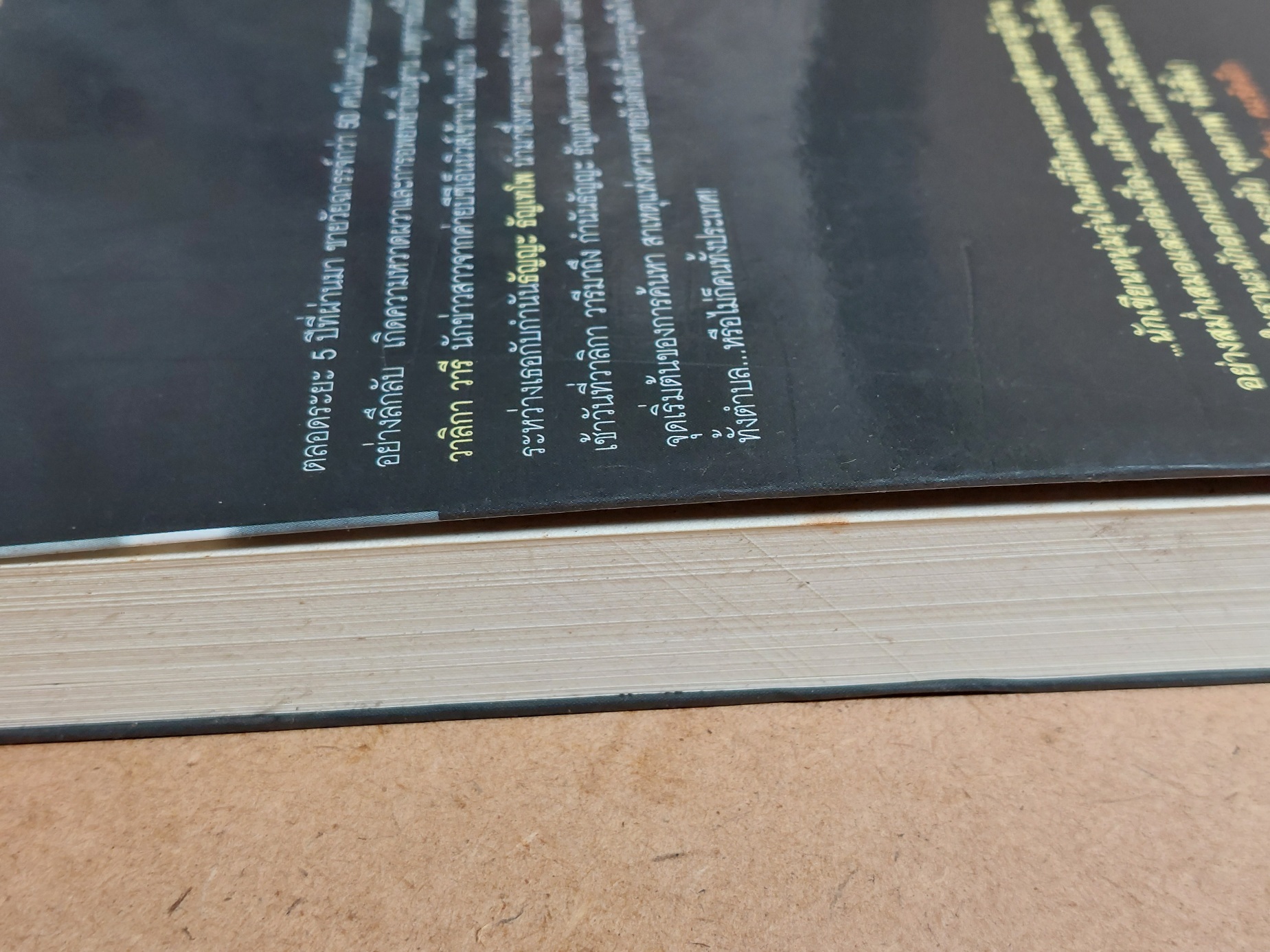 ทริปส์ The Trips / วิสิทธิ์ โพธิวัฒน์