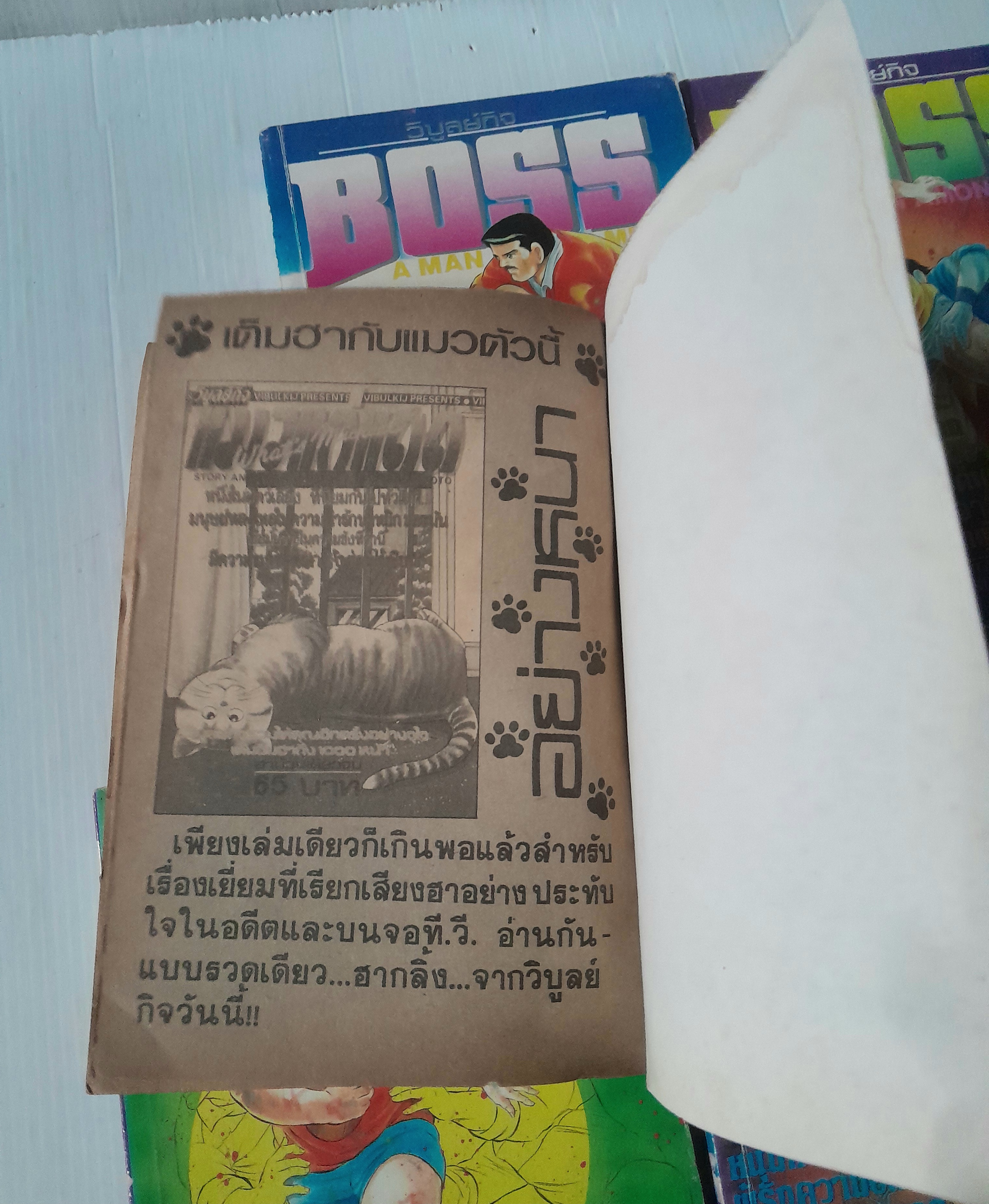 Boss A man Among Men 5 เล่มจบ / Koichi Tamiya