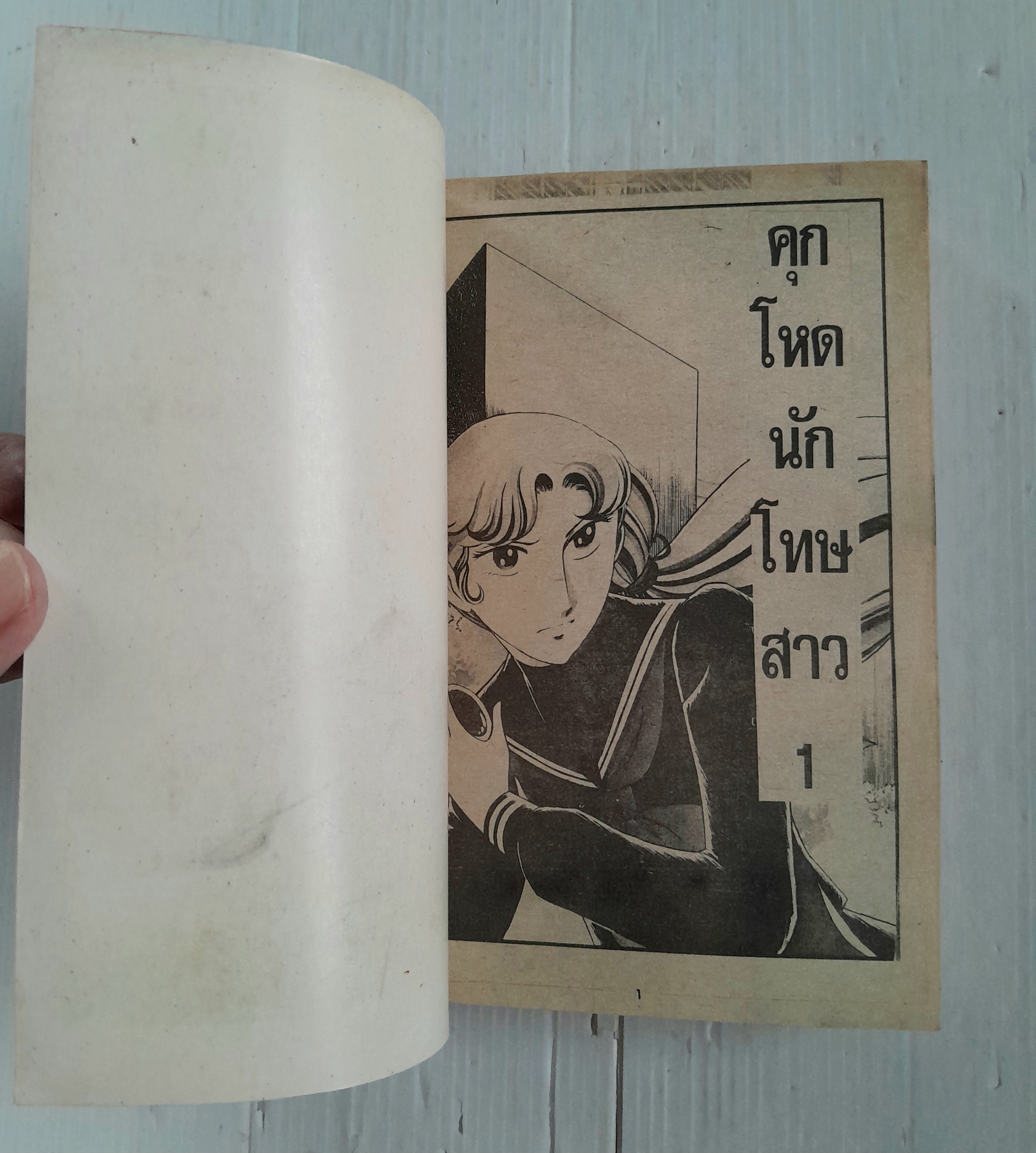 คุกโหดนักโทษสาว เล่ม 1 (5 เล่มจบ) / Wada Shinji