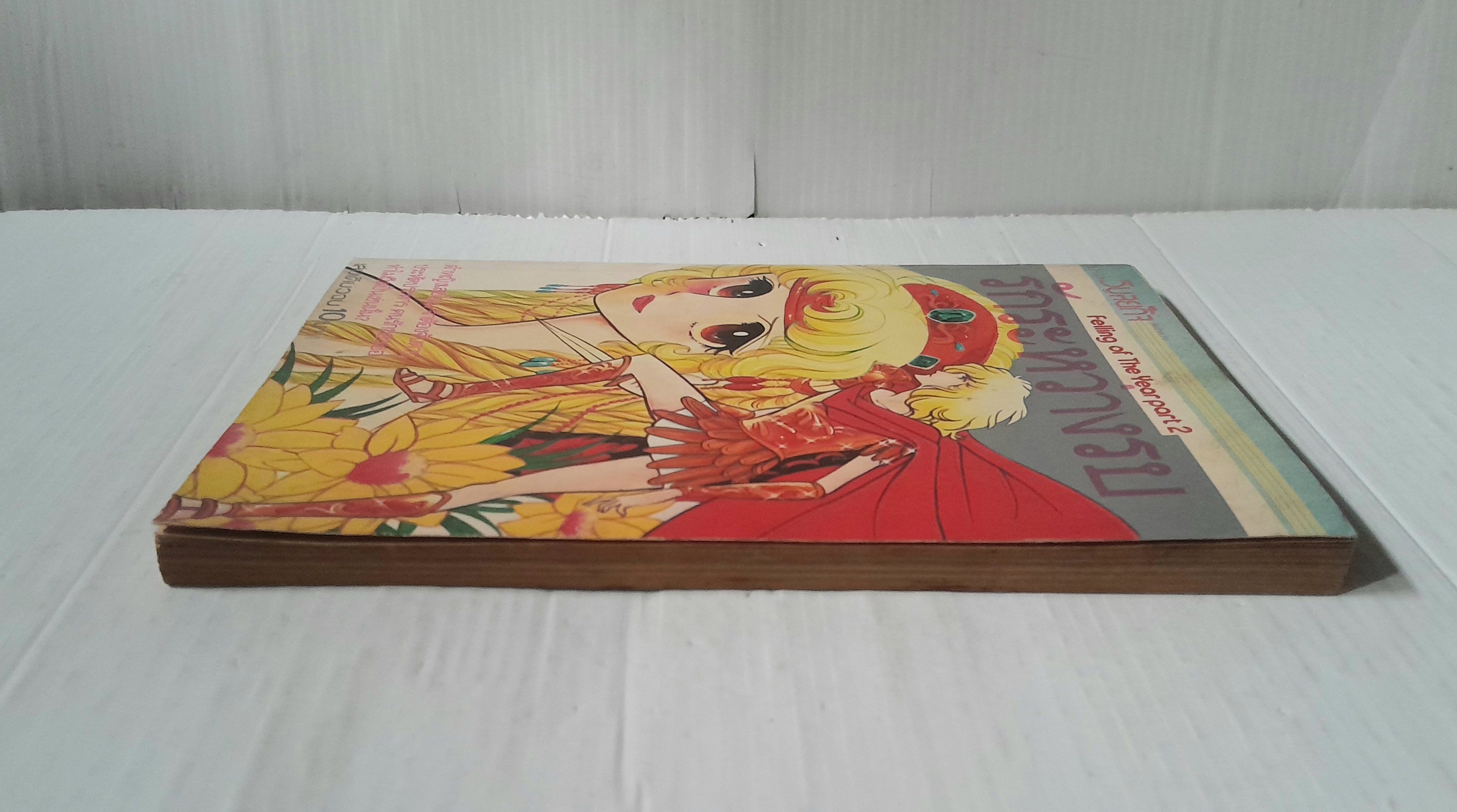 รักระหว่างรบ (เล่มเดียวจบ)