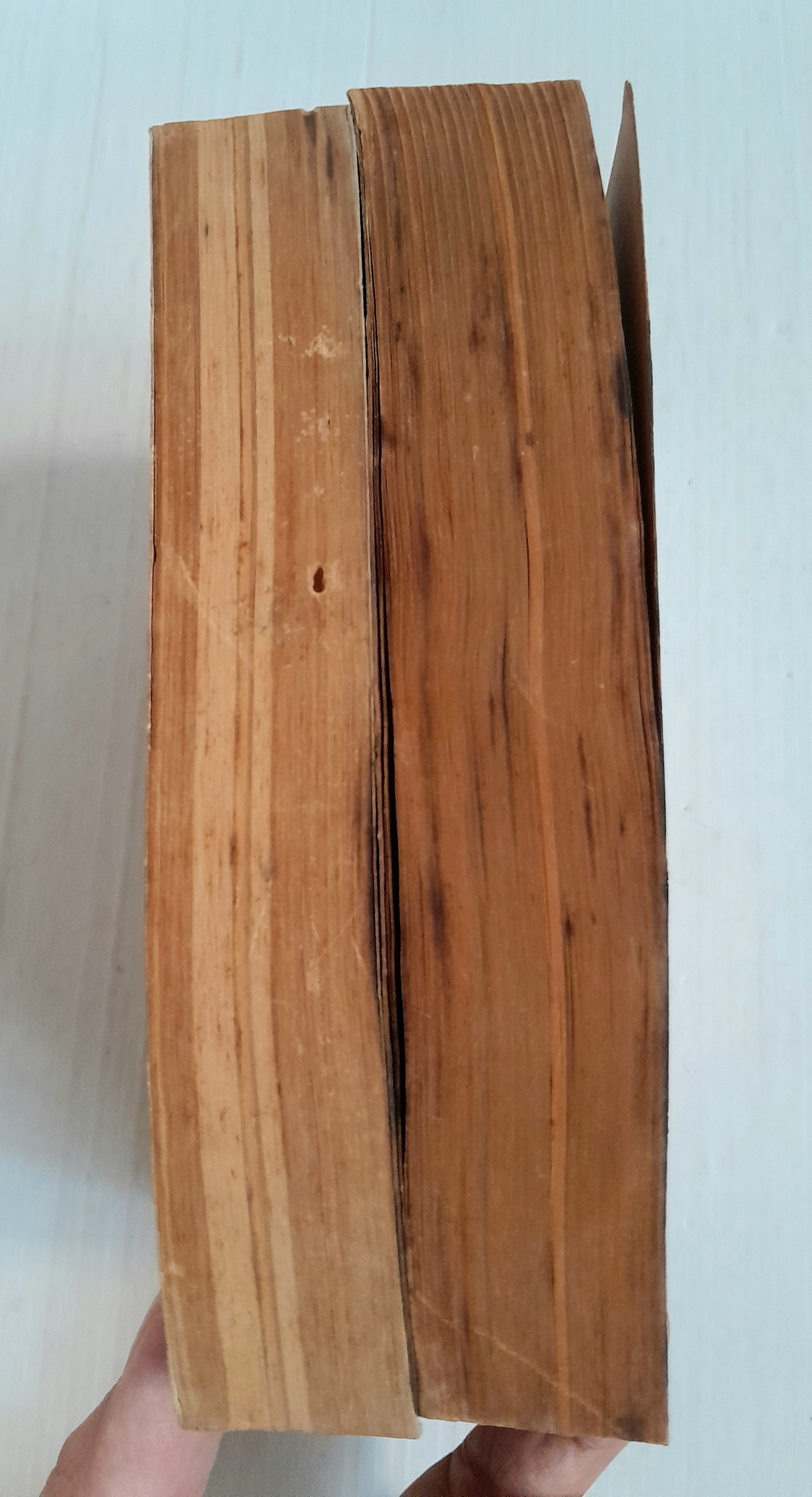 สุสานฟาโรห์ 2 เล่มจบ / ทาเคมิยะ เคียวโกะ