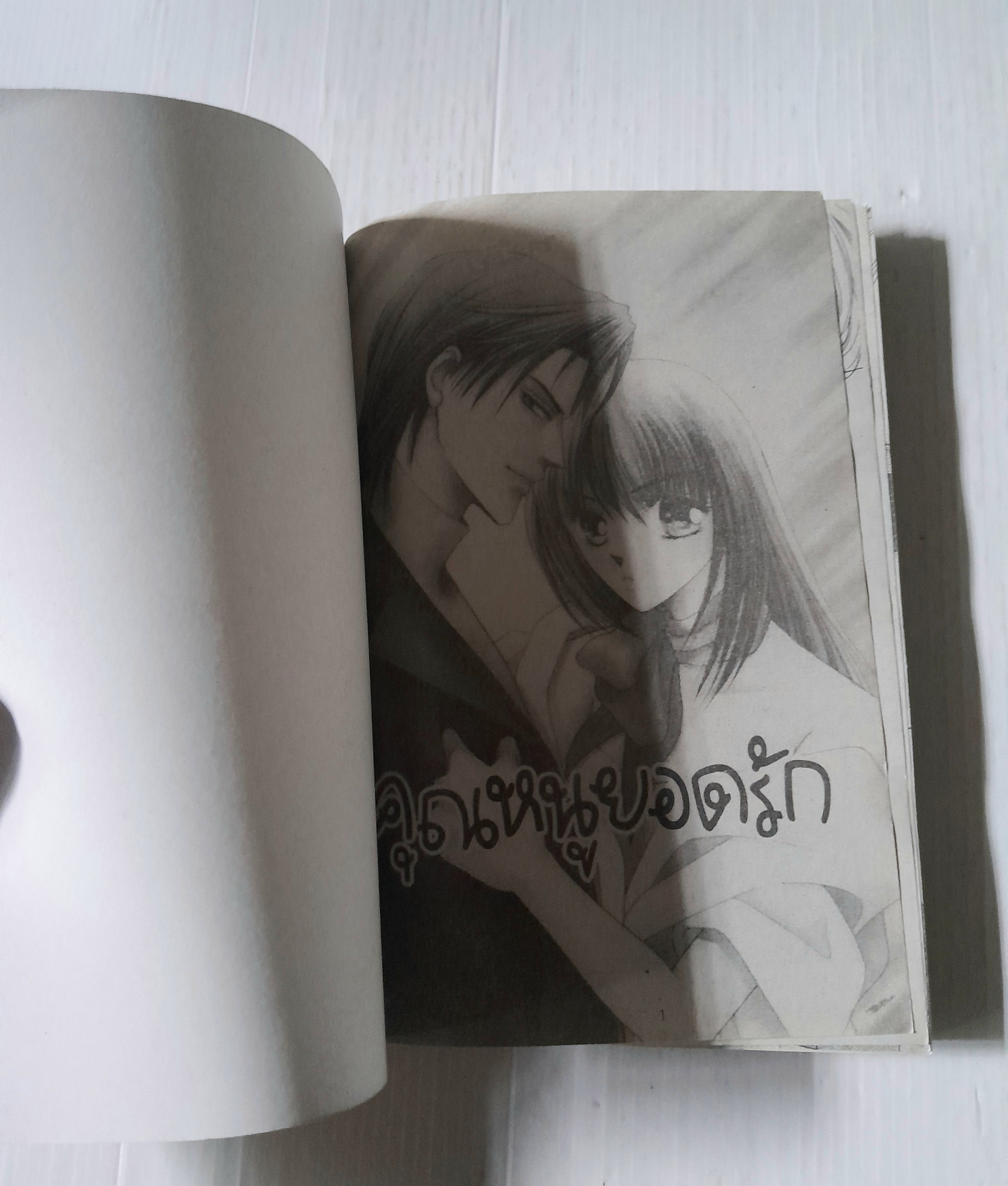 คุณหนูยอดรัก (เล่มเดียวจบ)