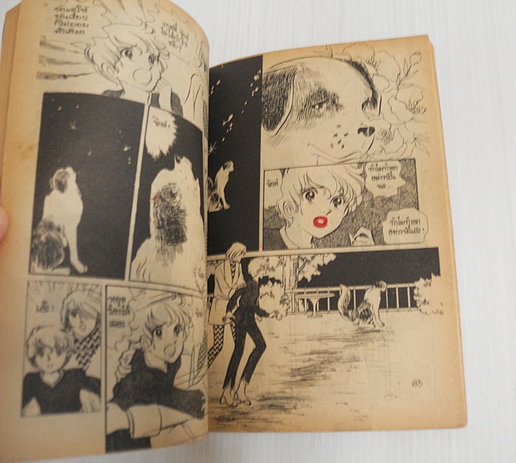 จอยคอมมิกส์ เล่ม 9