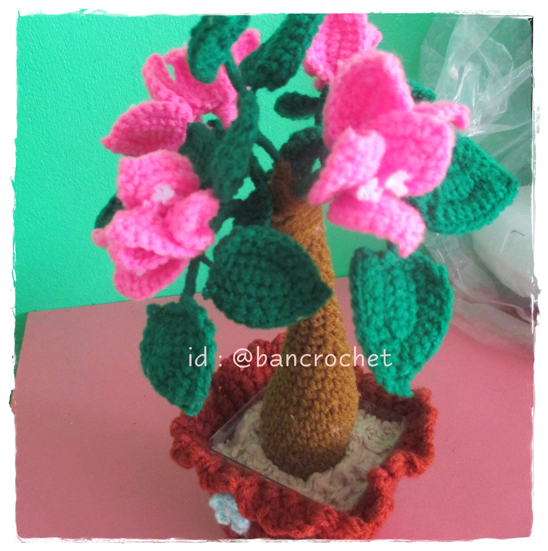 ต้นเฟื่องฟ้าถัก