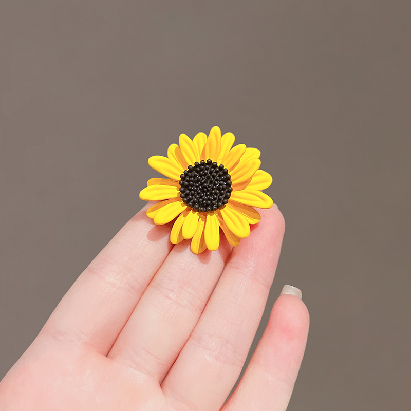 เข็มกลัด เข็มกลัดสวยๆ เข็มกลัดติดเสื้อ Brooch