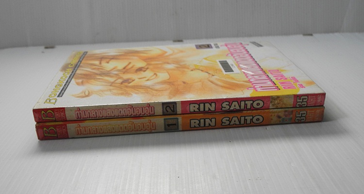 ท่ามกลางแสงแดดอันอบอุ่น 2 เล่มจบ / Rin Saito