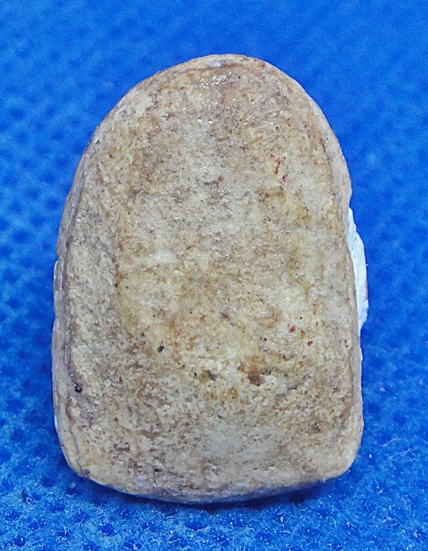 พระปิดตาวัดพลับ