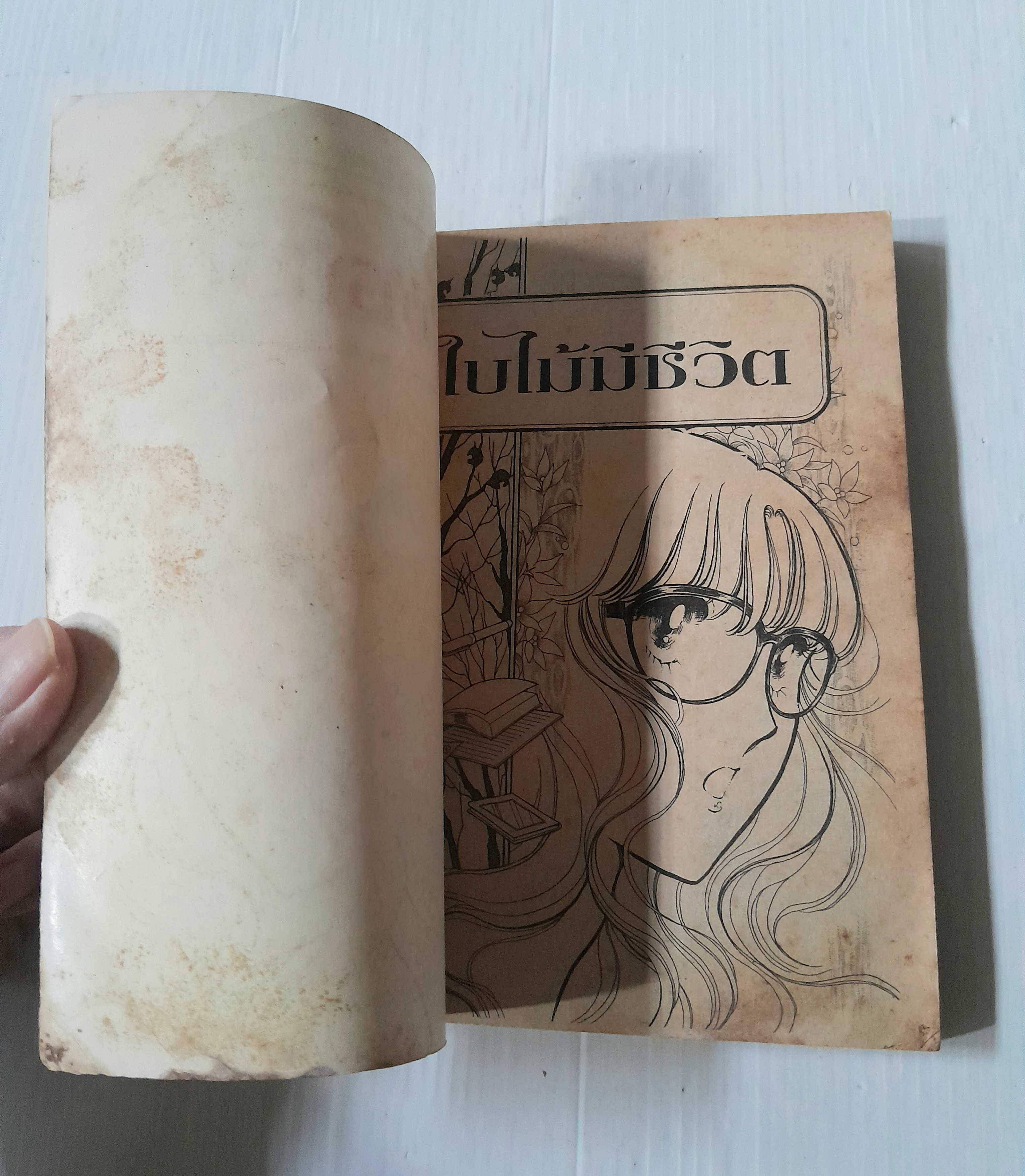 บันทึกรัก 3 ฤดู (เล่มเดียวจบ)