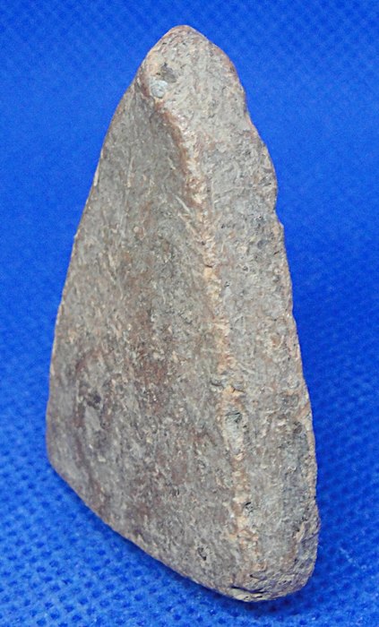 พระขุนแผนซุ้มเถาวัลย์เลื้อย