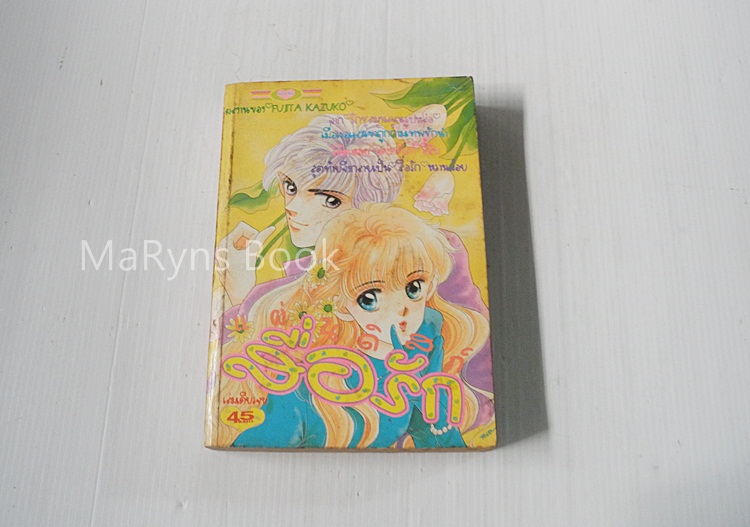 แผ่นดิสก์สื่อรัก ( เล่มเดียวจบ ) / Fujita Kazuko