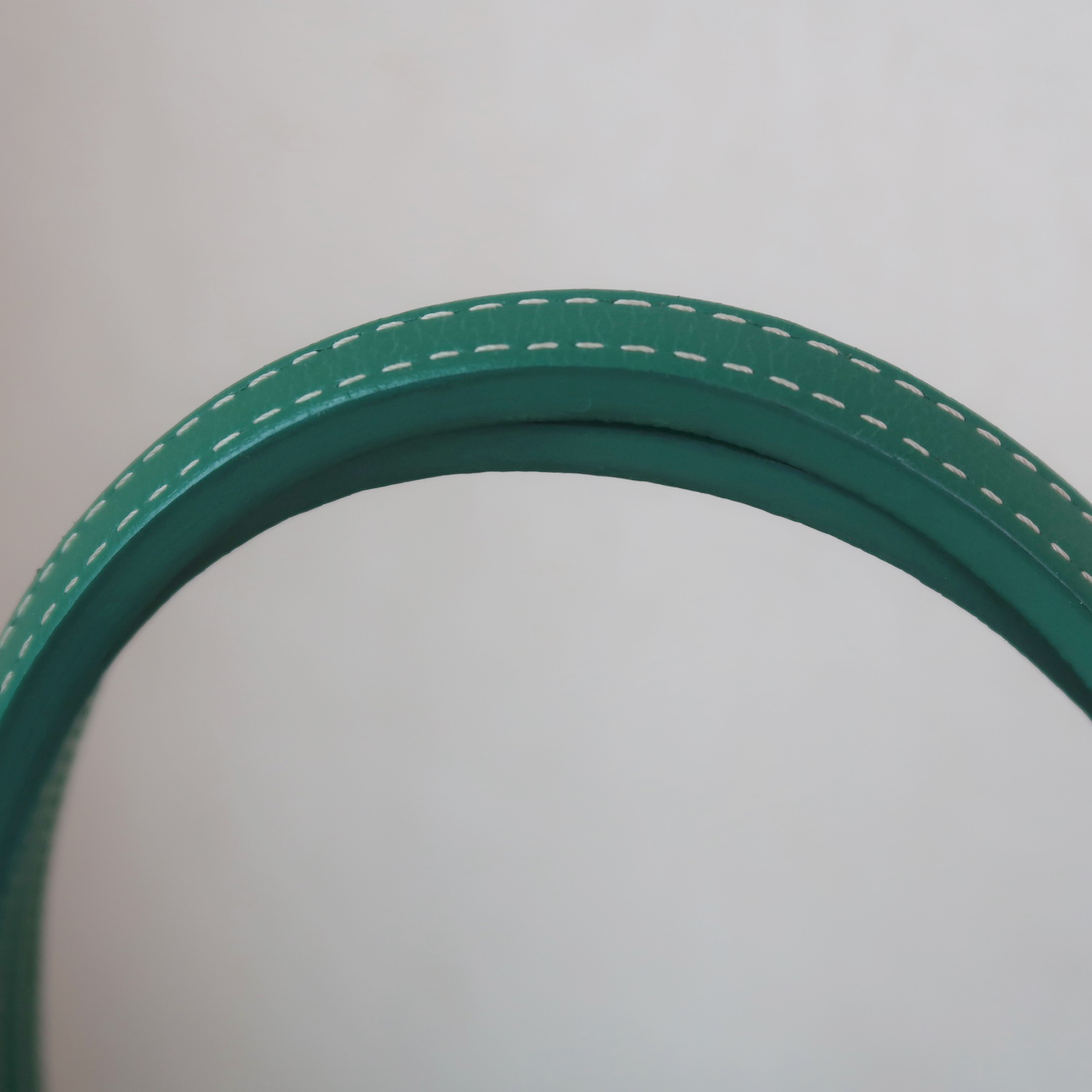 Goyard Green Monogram Anjou Mini Bag (2024)