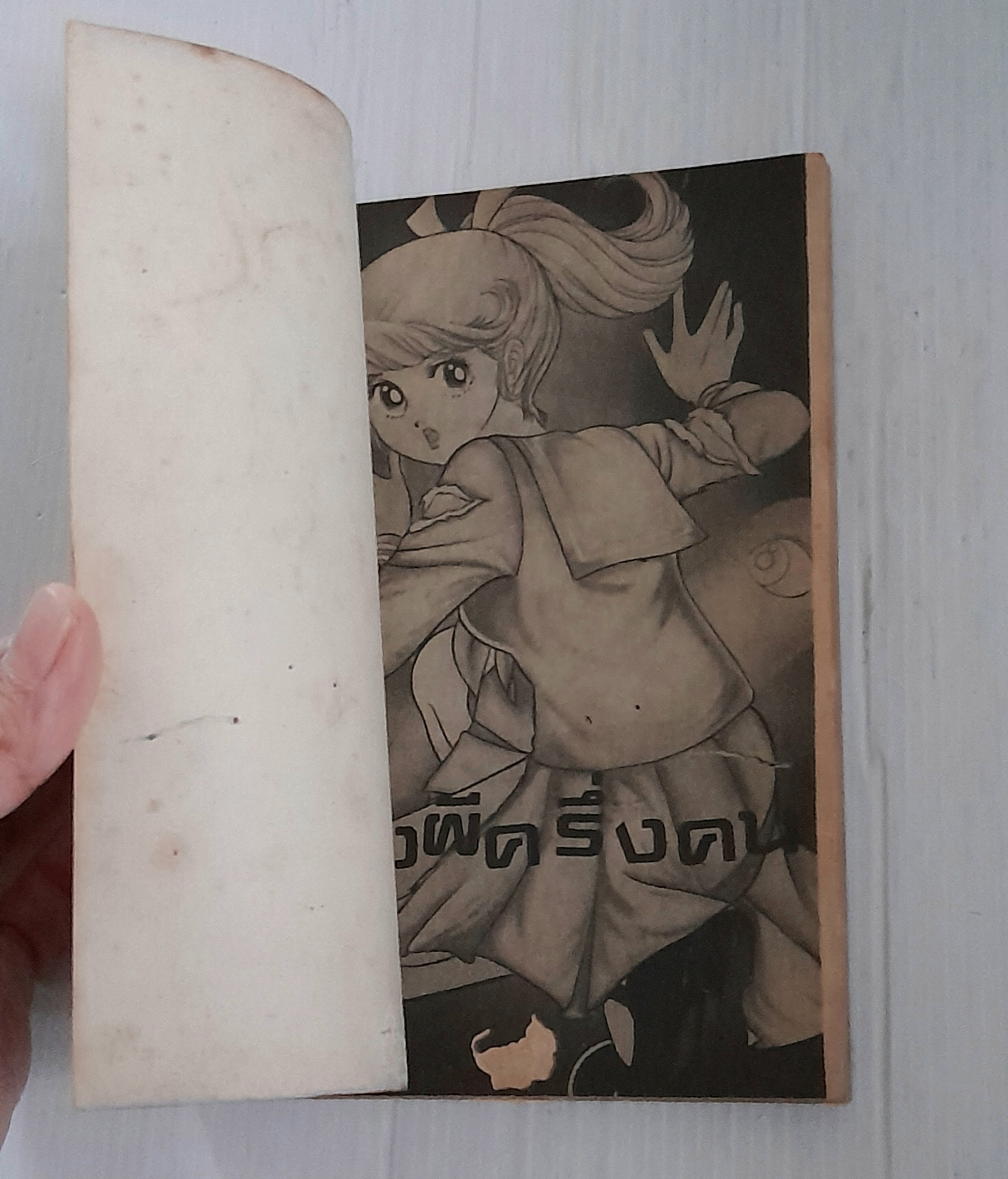 ครึ่งผีครึ่งคน (เล่มเดียวจบ) / ยูซึกิ ฮิคารุ