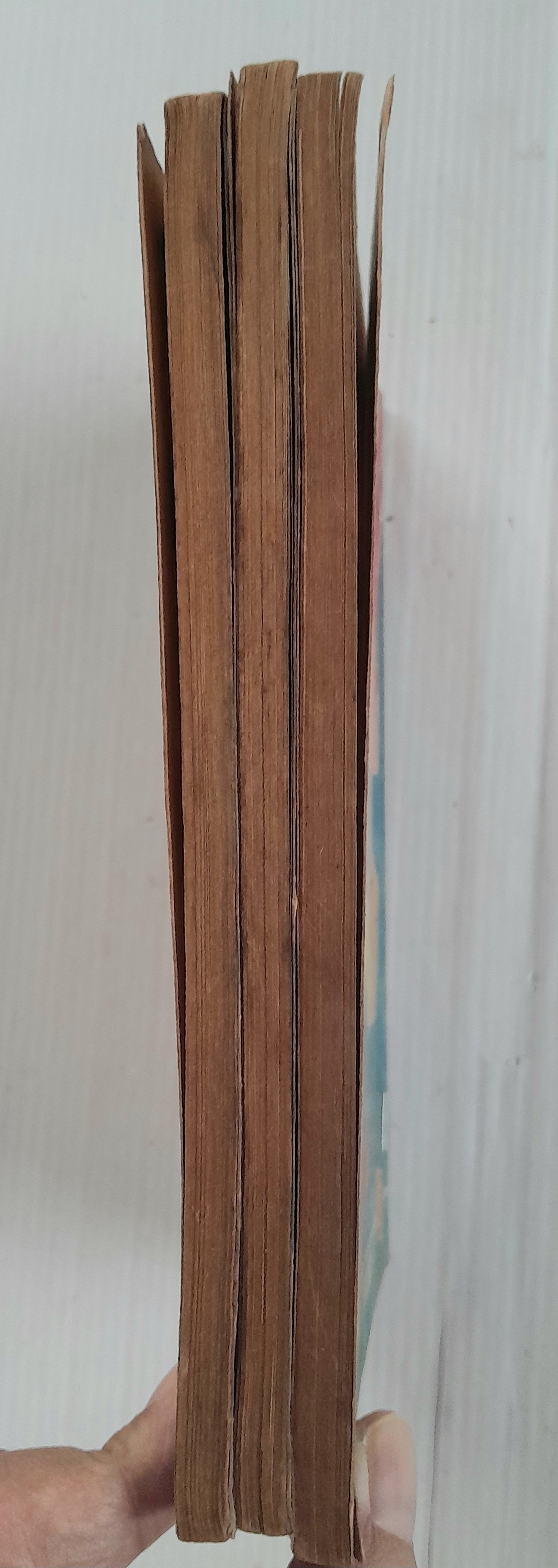 ฟลาวเวอร์ดราก้อน 3 เล่มจบ / Nakayama Seika