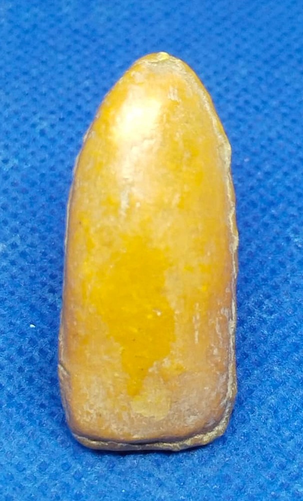 พระสิวลีหลวงพ่อกวย