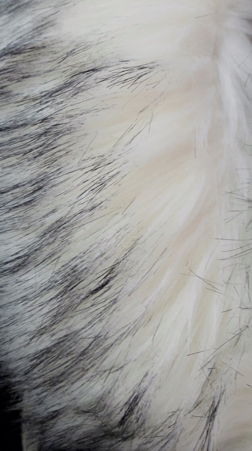 ขนเฟอร์ fur สีขาวปลายแซมดำ ขนฟูนุ่ม ใช้ติดเสื้อหนาว หรือใช้พันคอ เพิ่มความเก๋ มิกได้กับทุกชุด มาพร้อมกระดุมใส