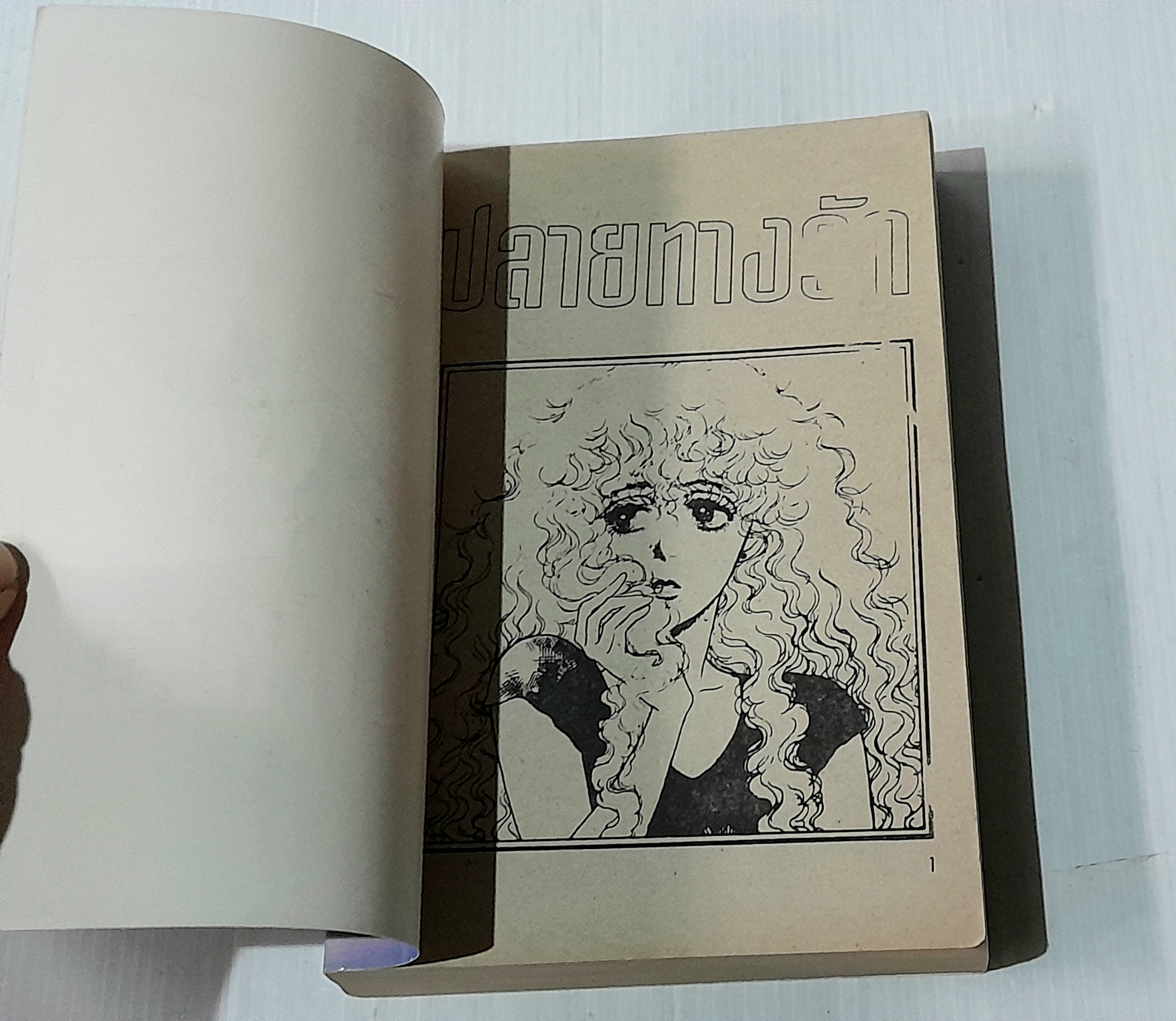 ปลายทางรัก (เล่มเดียวจบ) / Fuyumi Souryo