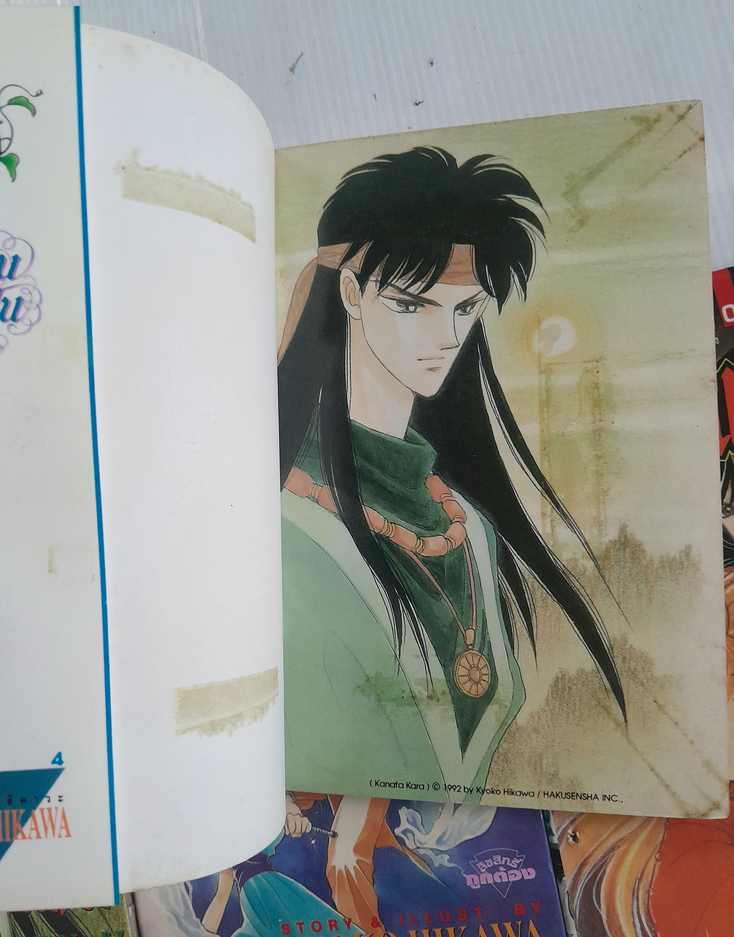 จอมคนแดนฝัน เล่ม 1-11 (14 เล่มจบ) / ฮิคาวะ เคียวโกะ