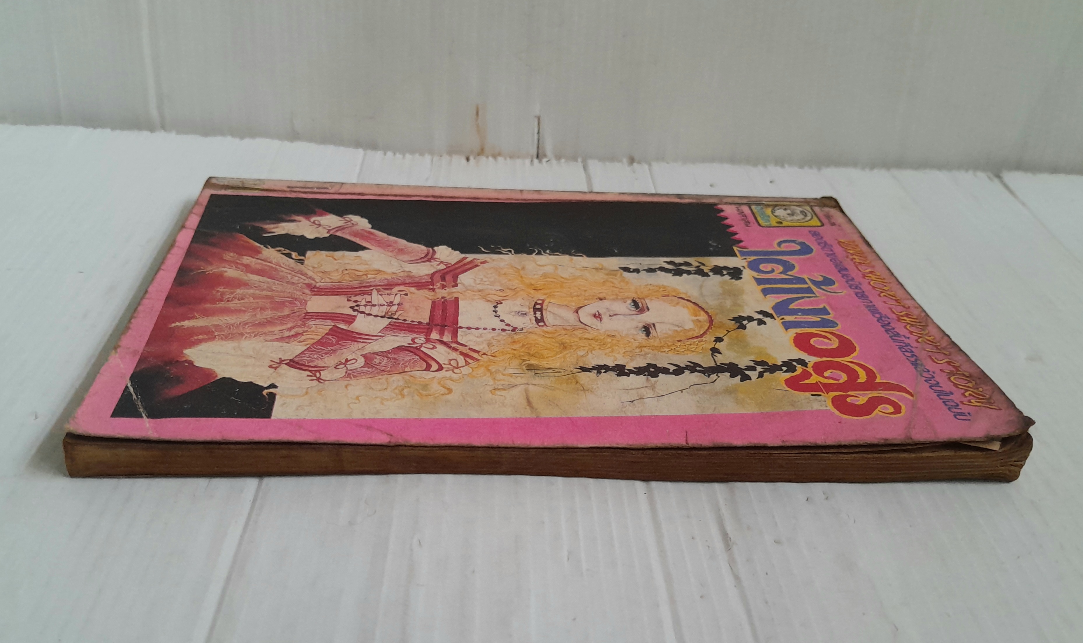 ใต้เงาอสูร (เล่มเดียวจบ)