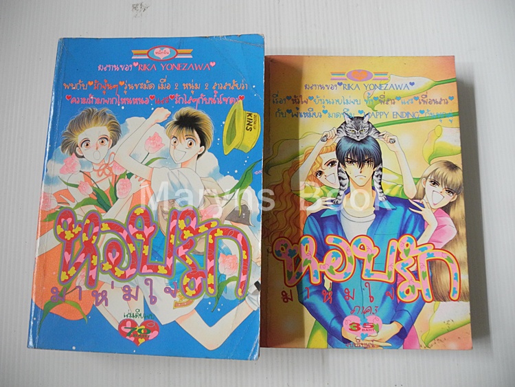 หอบรักมาห่มใจ ภาค1 + ภาค3 (3 ภาคจบครบชุด) / Rika Yonezawa