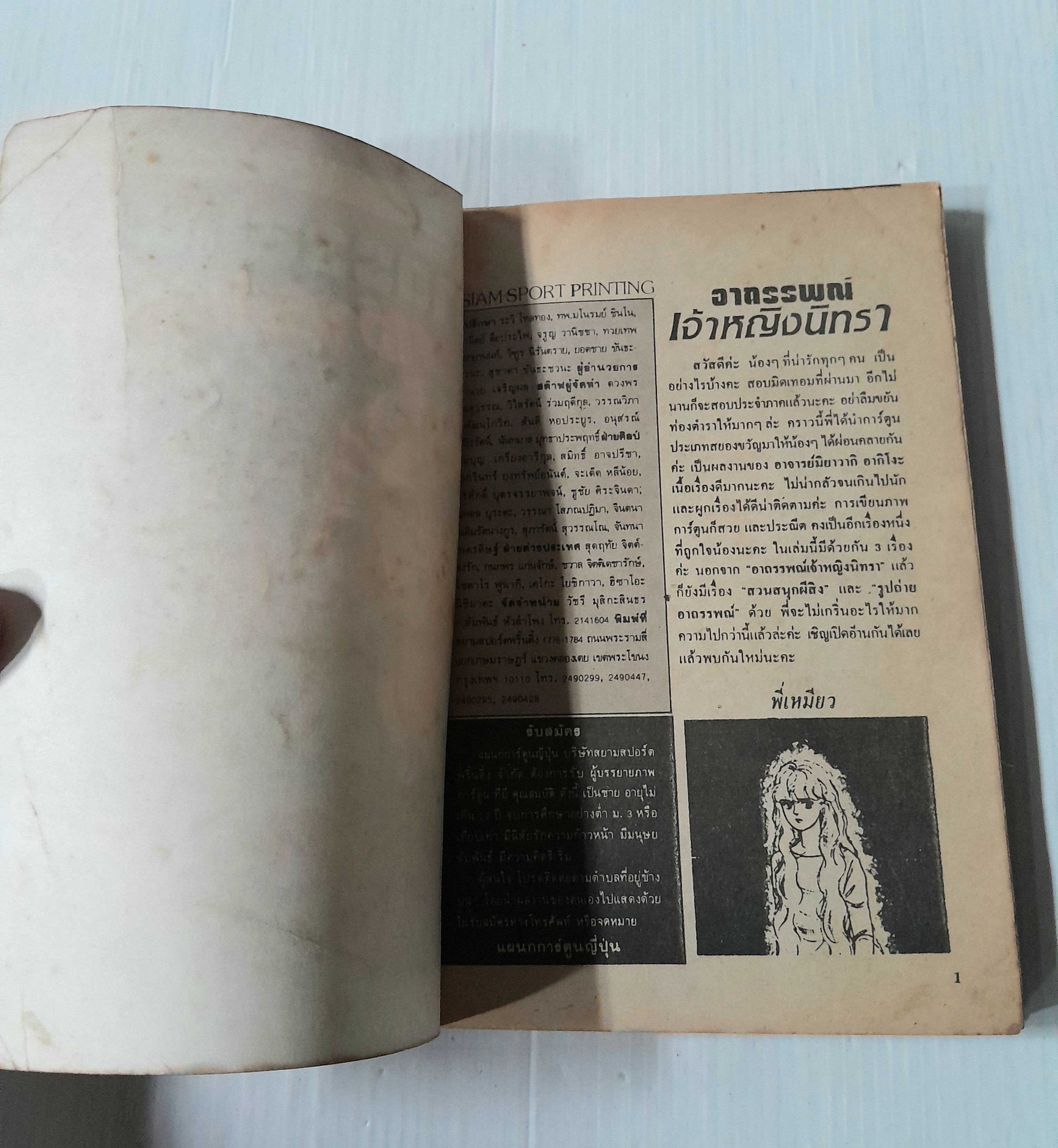 อาถรรพณ์เจ้าหญิงนิทรา (เล่มเดียวจบ) /Akiko Miyawaki