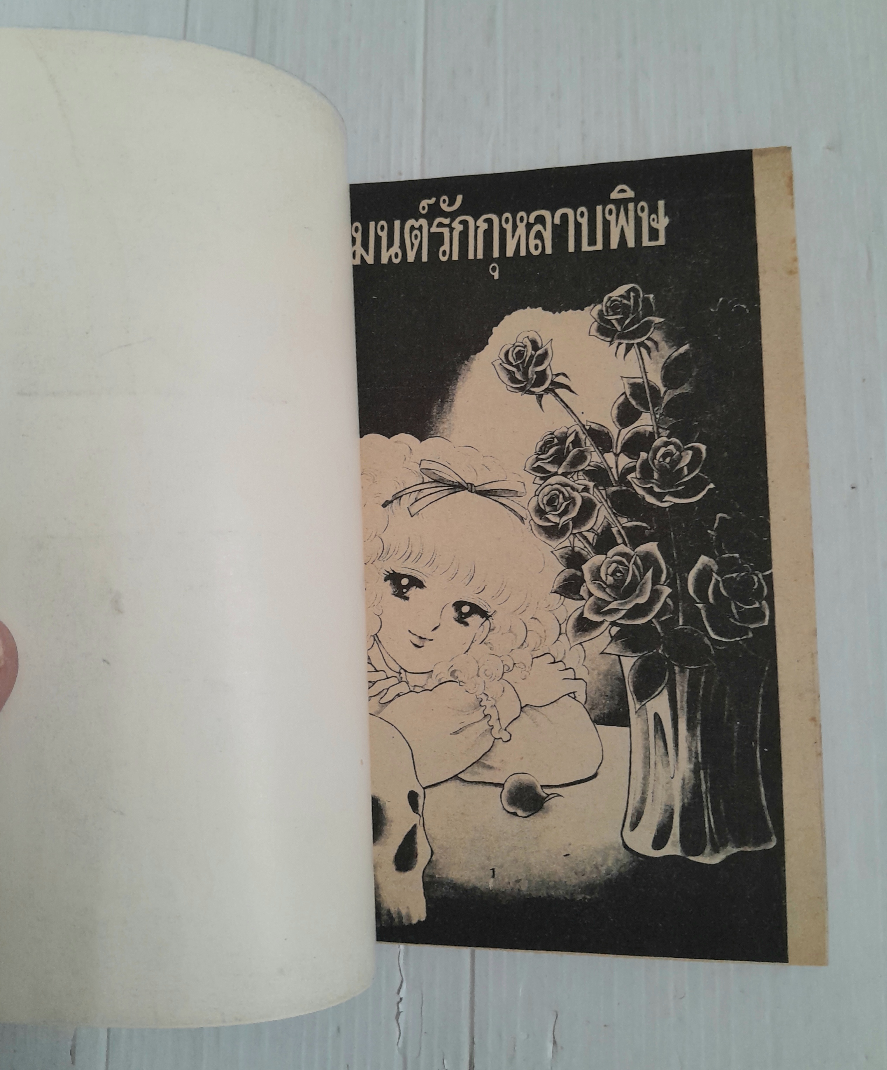 มนต์รักกุหลาบพิษ (เล่มเดียวจบ)