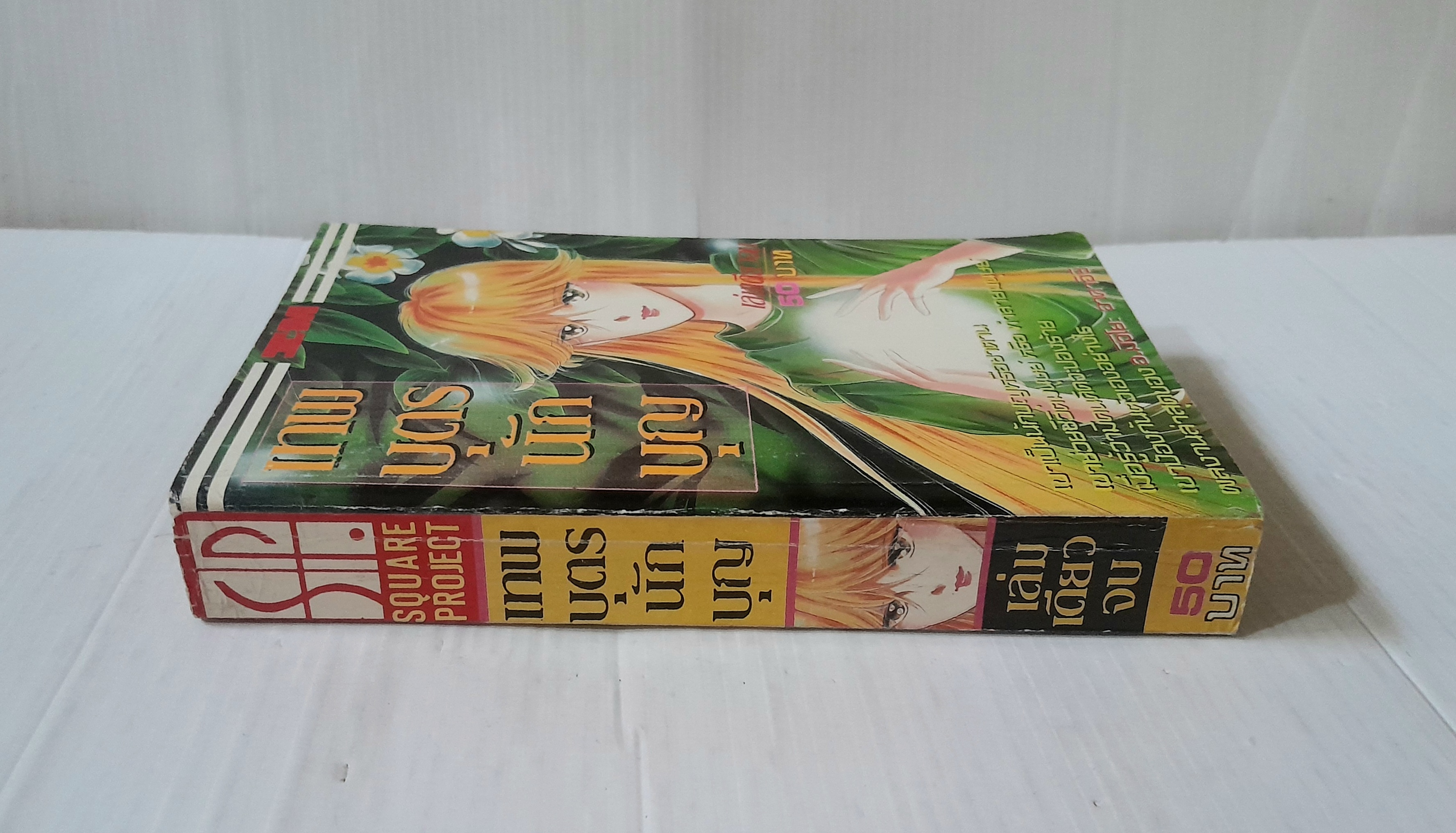 เทพบุตรนักบุญ (เล่มเดียวจบ) / มิจิโยะ อาคาอิชิ