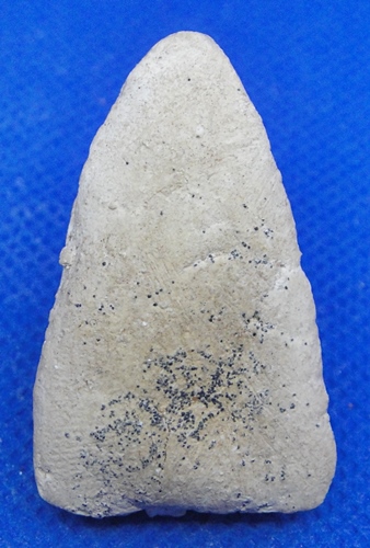 หลวงปู่ทวด วัดประสาทบุญญาวาส