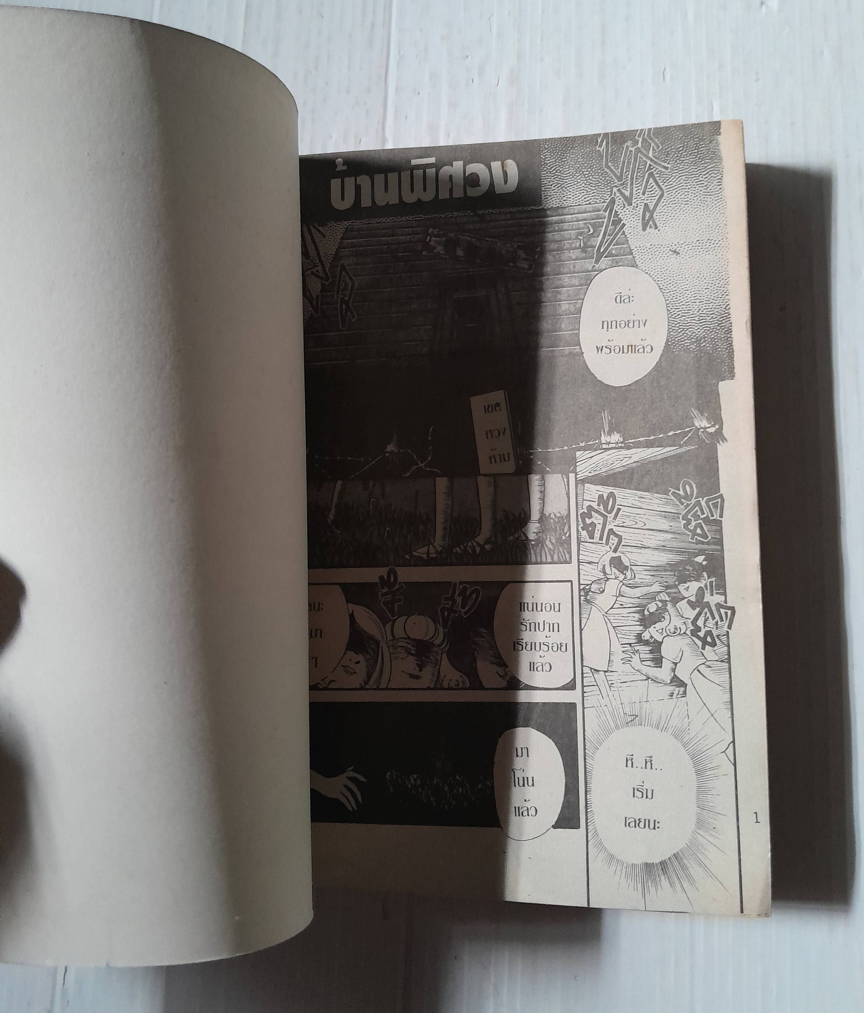 บ้านพิศวง (เล่มเดียวจบ)