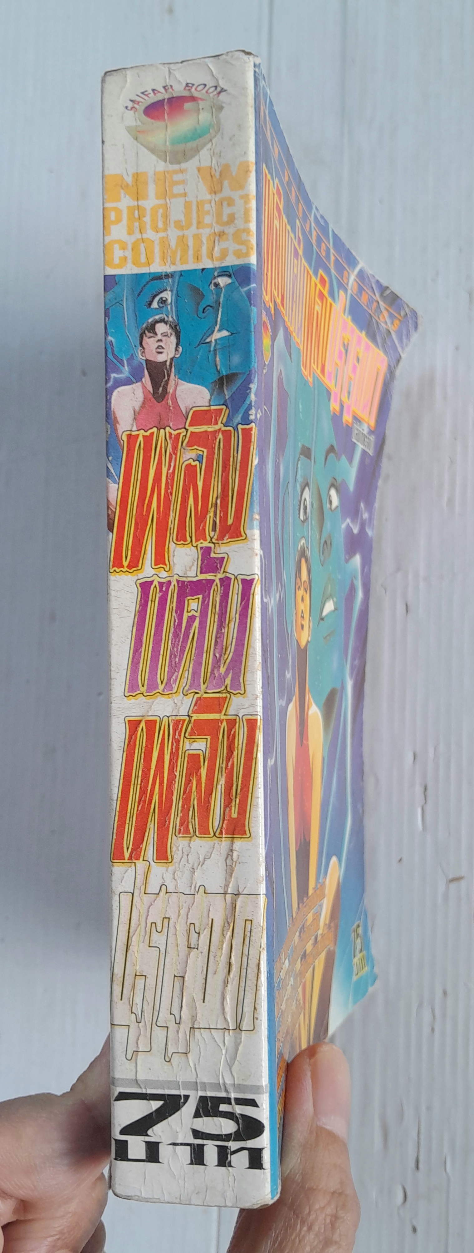 เพลิงแค้นเพลิงปรารถนา (เล่มเดียวจบ)