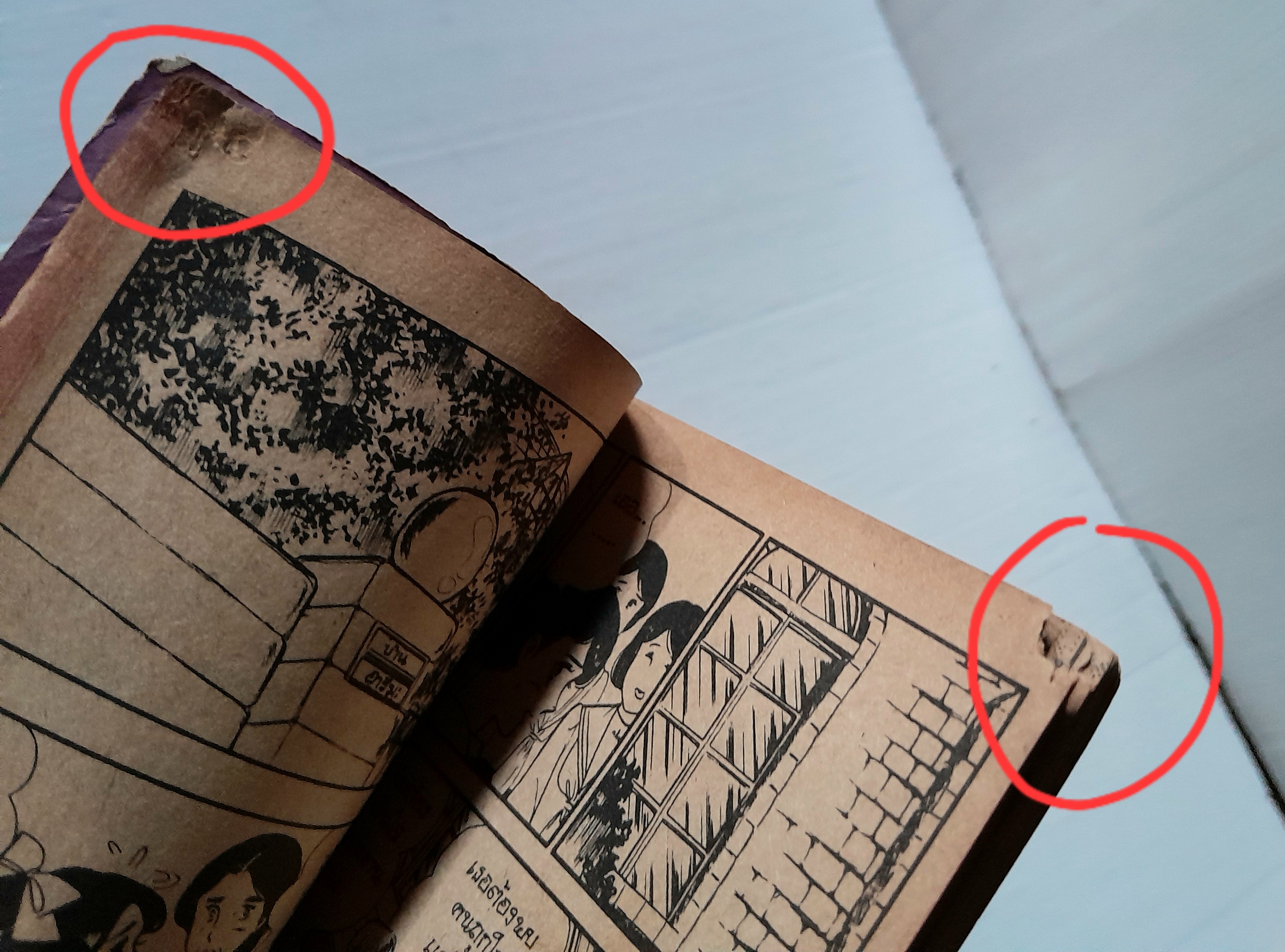 สายธารรัก เล่ม 12 / มาจิโกะ ซาโตนะกะ