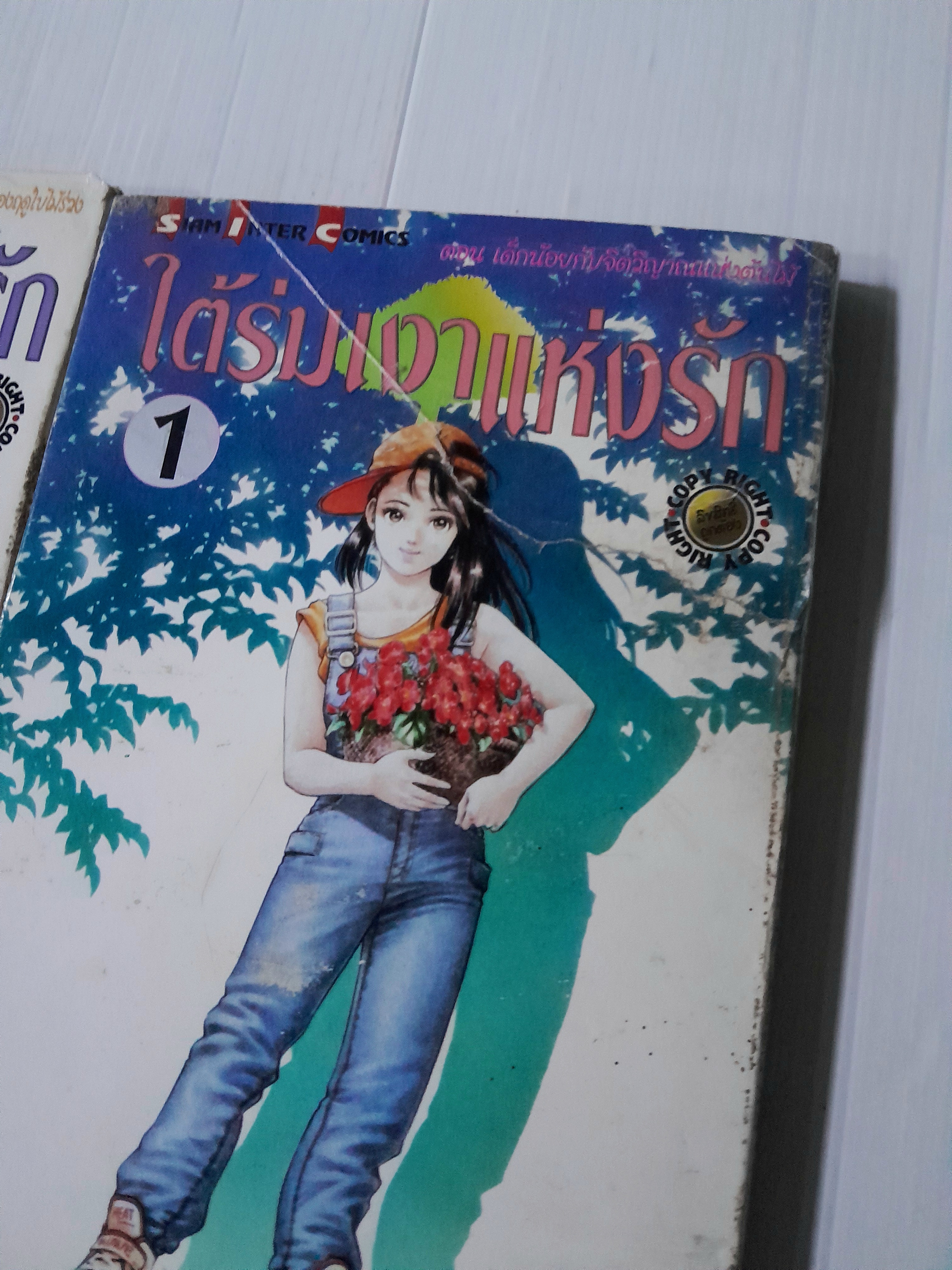 ใต้ร่มเงาแห่งรัก 3 เล่มจบ / Tsukasa Hojo