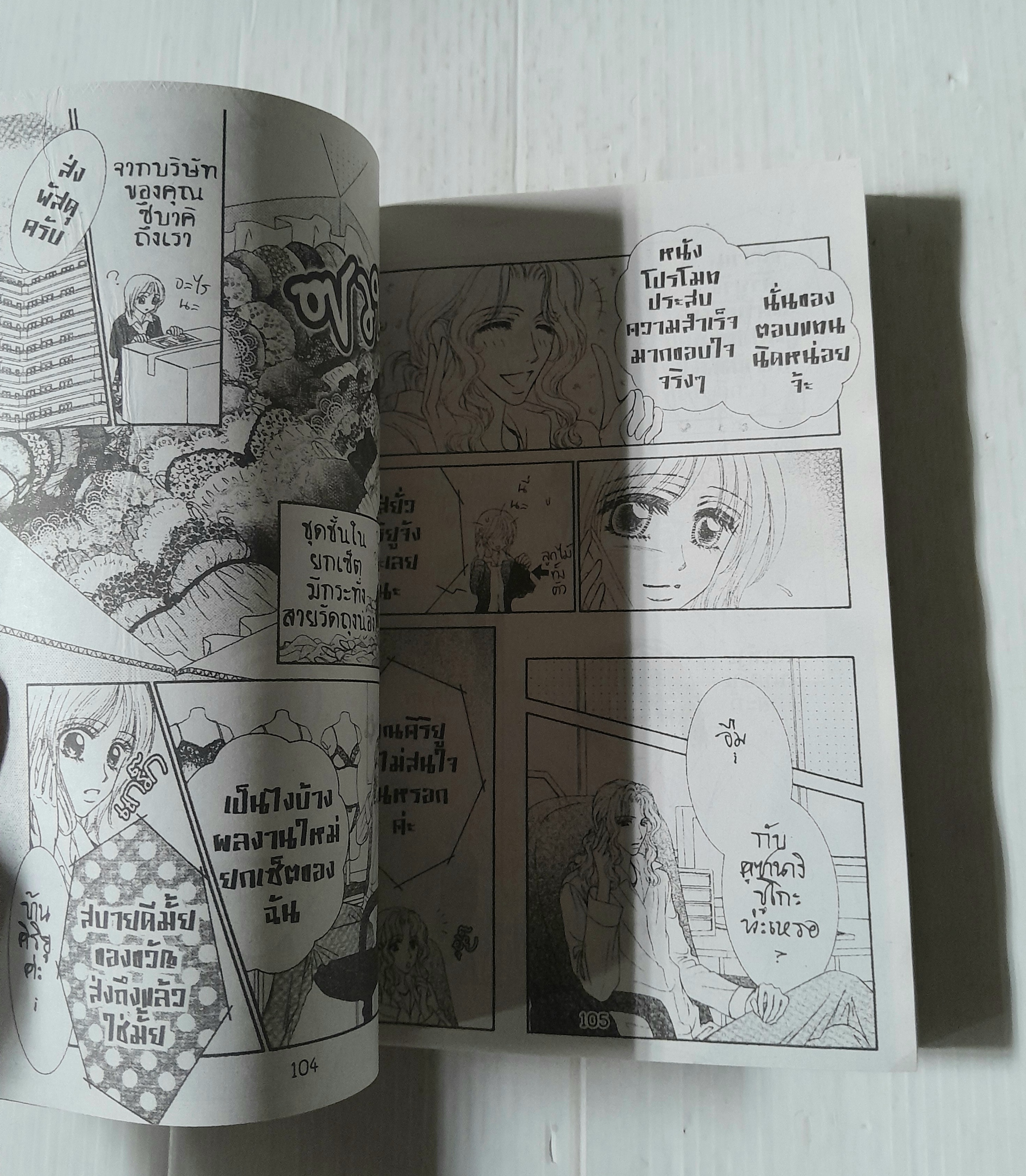 เจ้านายแสบต้องแอบรัก (เล่มเดียวจบ)