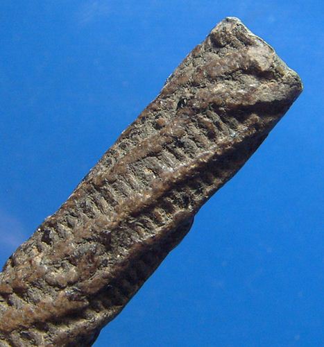 ตะกรุดจันทร์เพ็ญหลวงปู่ศุข