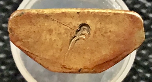 หลวงพ่อพรหม ถาวโร