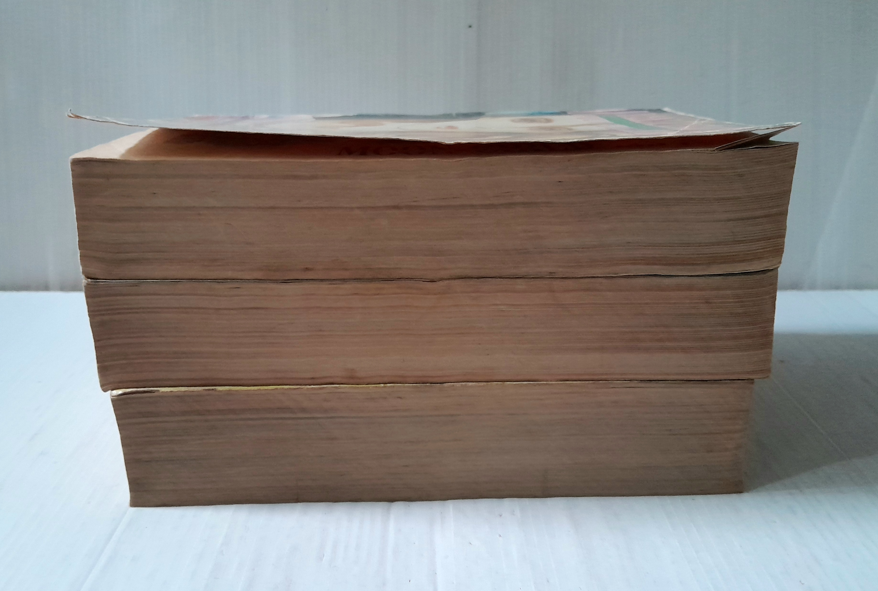 ลูกชายพระจันทร์ 3 เล่มจบ / Shimizu Reiko