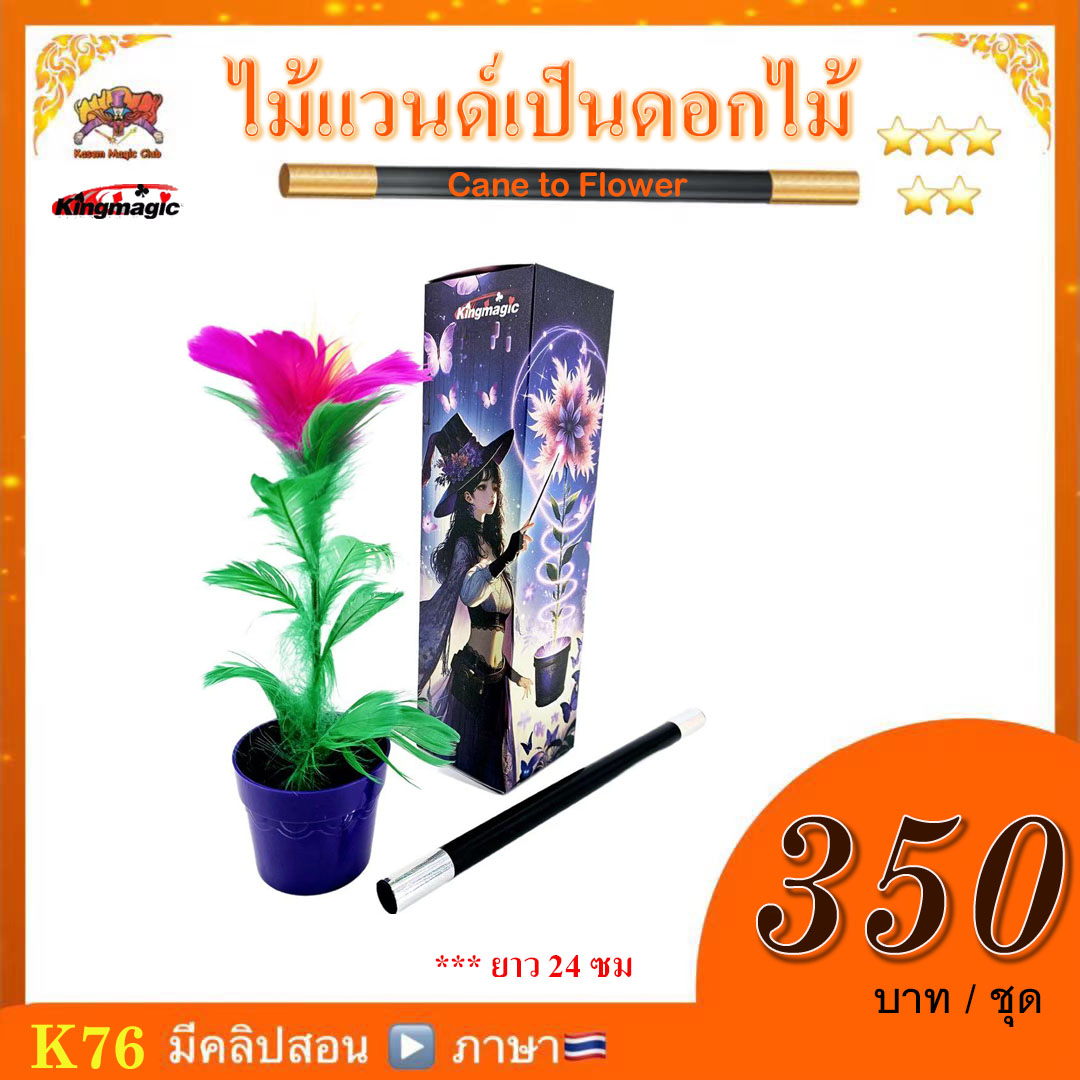 อุปกรณ์มายากล ไม้แวนด์เป็นดอกไม้ (Cane to Flower )