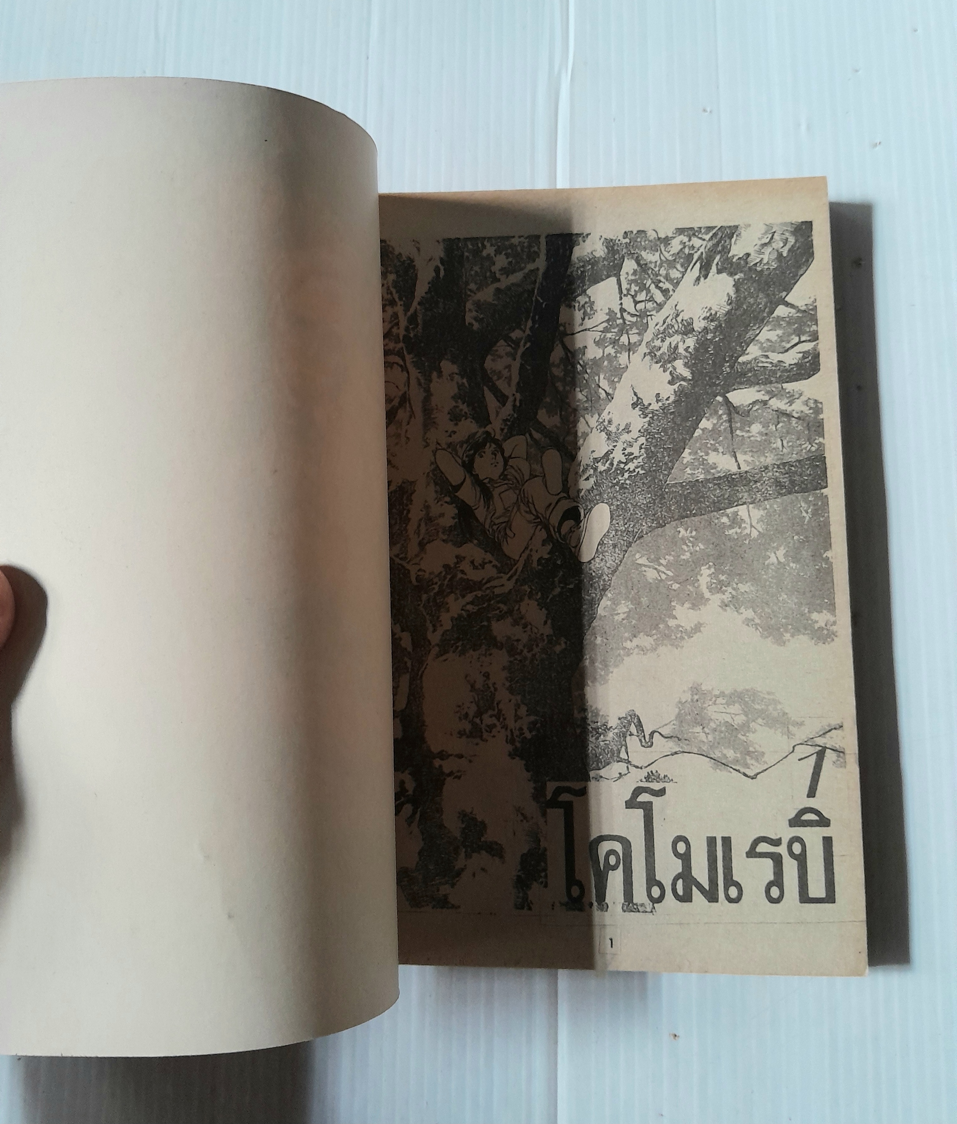 โคโมเรบิ สาวน้อยมหัศจรรย์ 2 เล่มจบ / Hojo Tsukasa