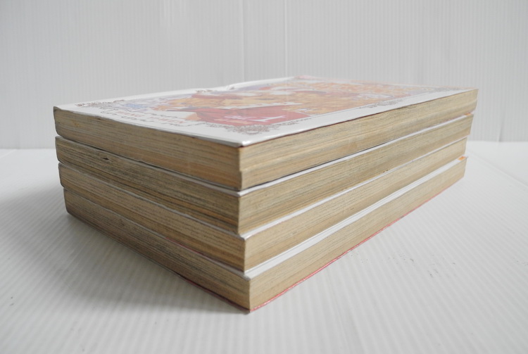 กุหลาบแวร์ซายน์ 4 เล่มจบ / Wang Yi-Wen