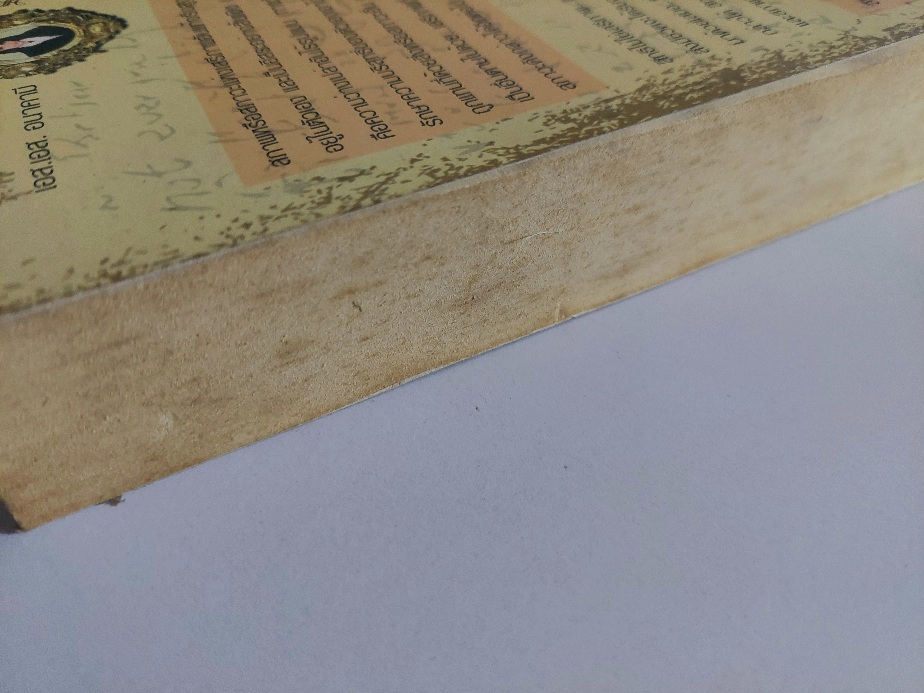 เสรีภาพที่ไร้เดียงสา An Innocent Freedom / เอส เอส อนาคามี